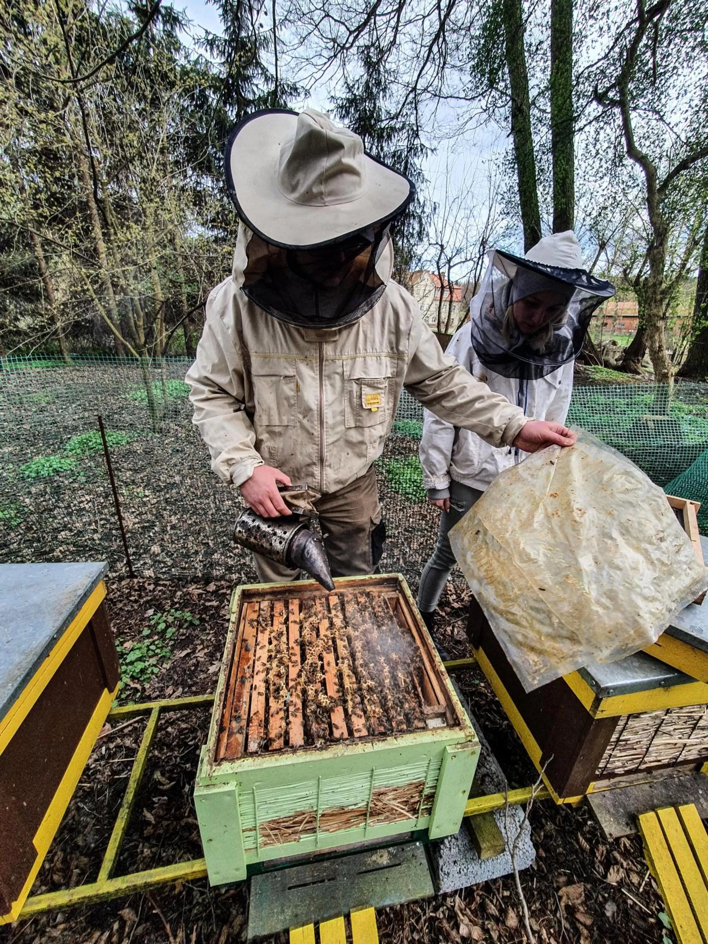 Landmark view in Olandia