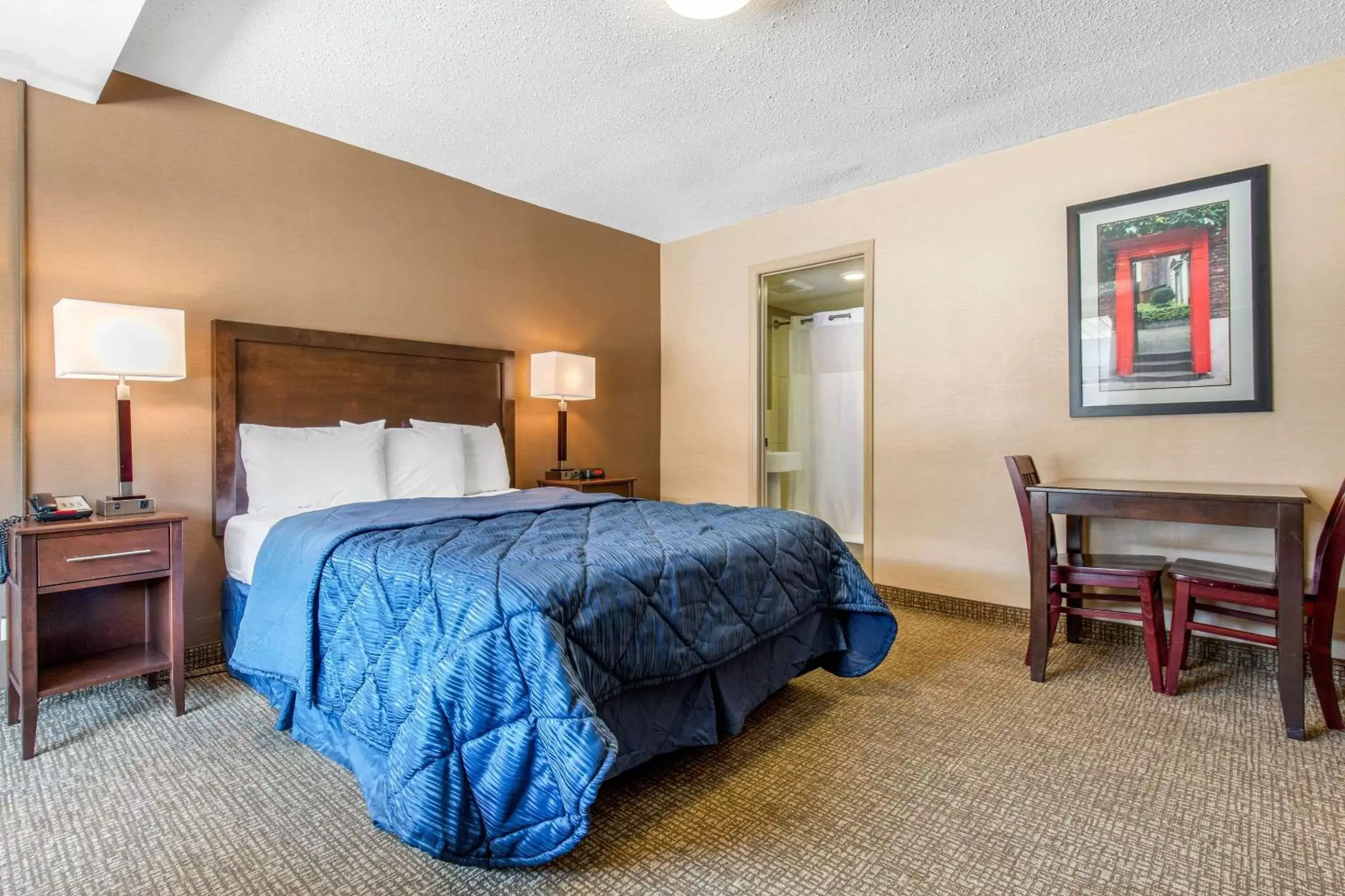 Photo of the whole room, Bed in Rodeway Inn Chicago