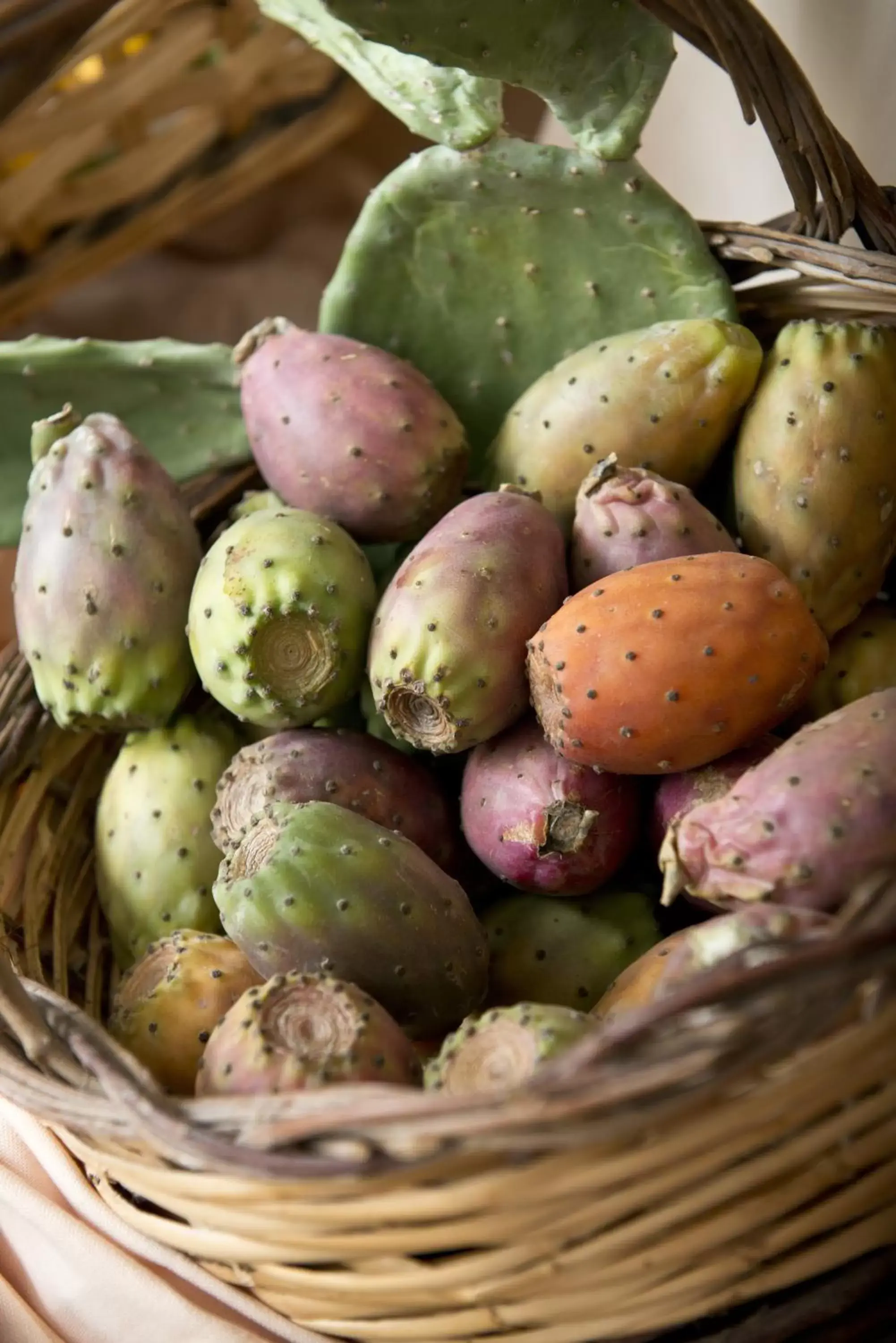 Food in Park Hotel Sant'Elia Food in Park Hotel Sant'Elia