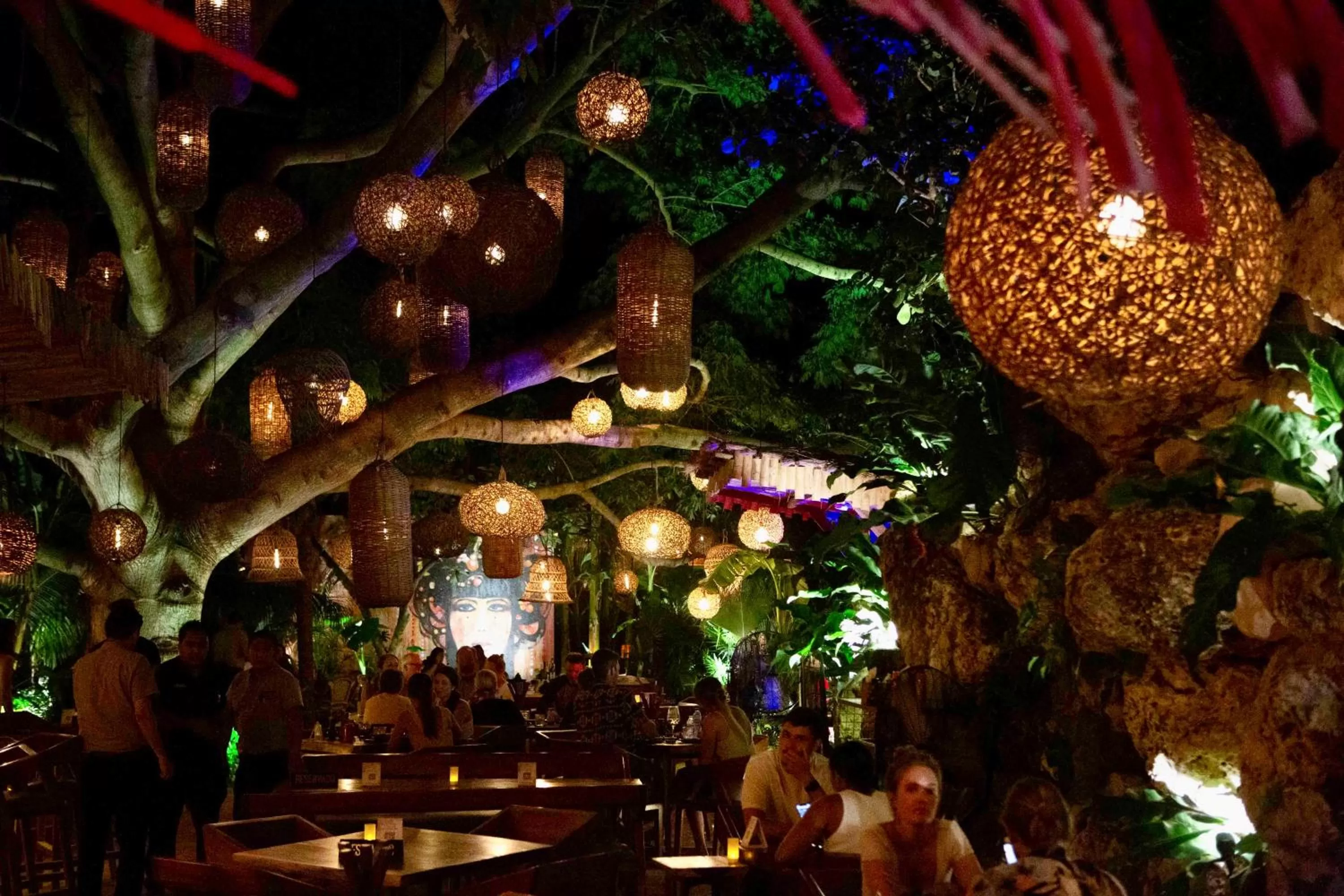 Restaurant/places to eat, Other Animals in Nomads Hotel, Hostel & Beachclub