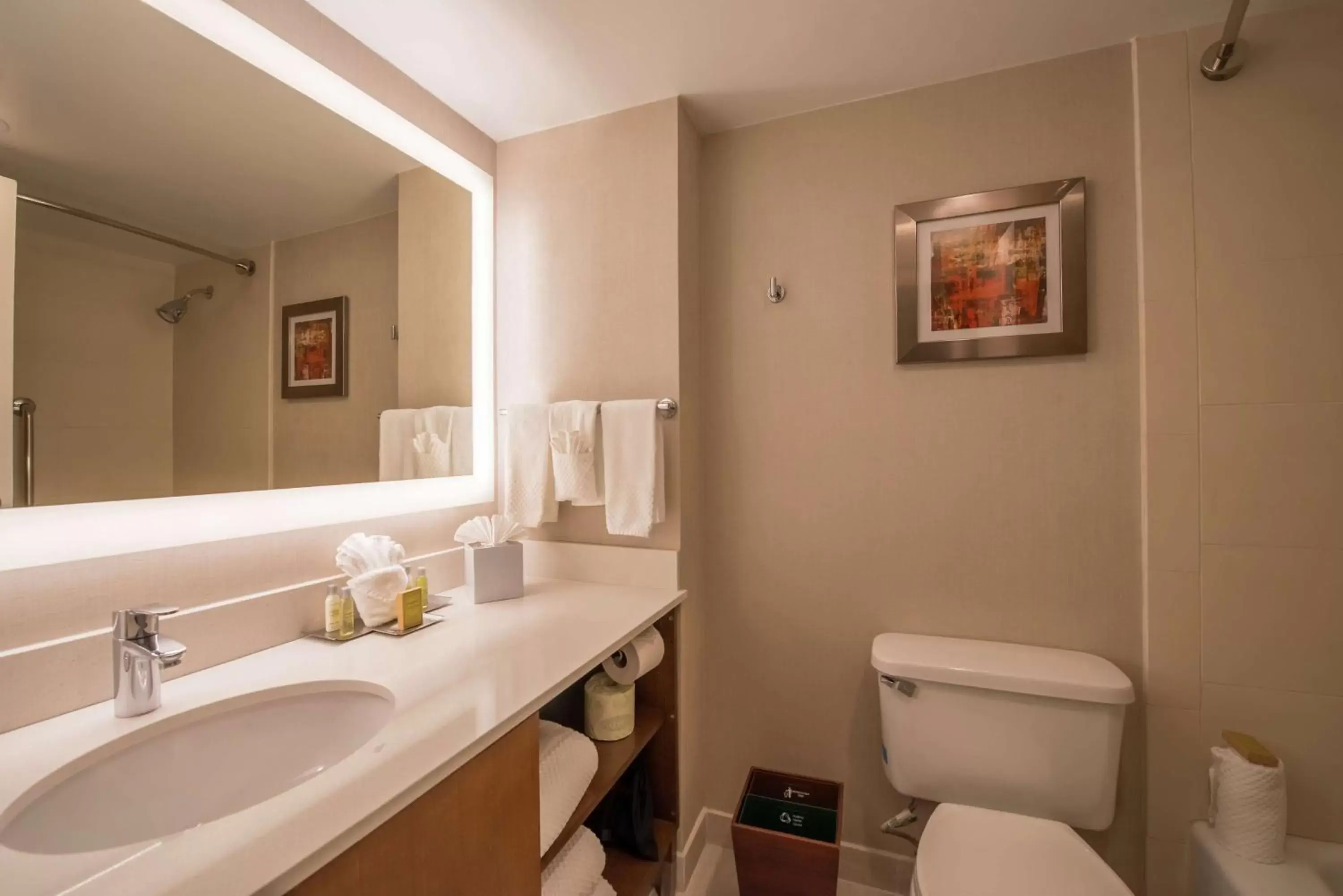 Bathroom in DoubleTree by Hilton Atlanta North Druid Hills/Emory Area