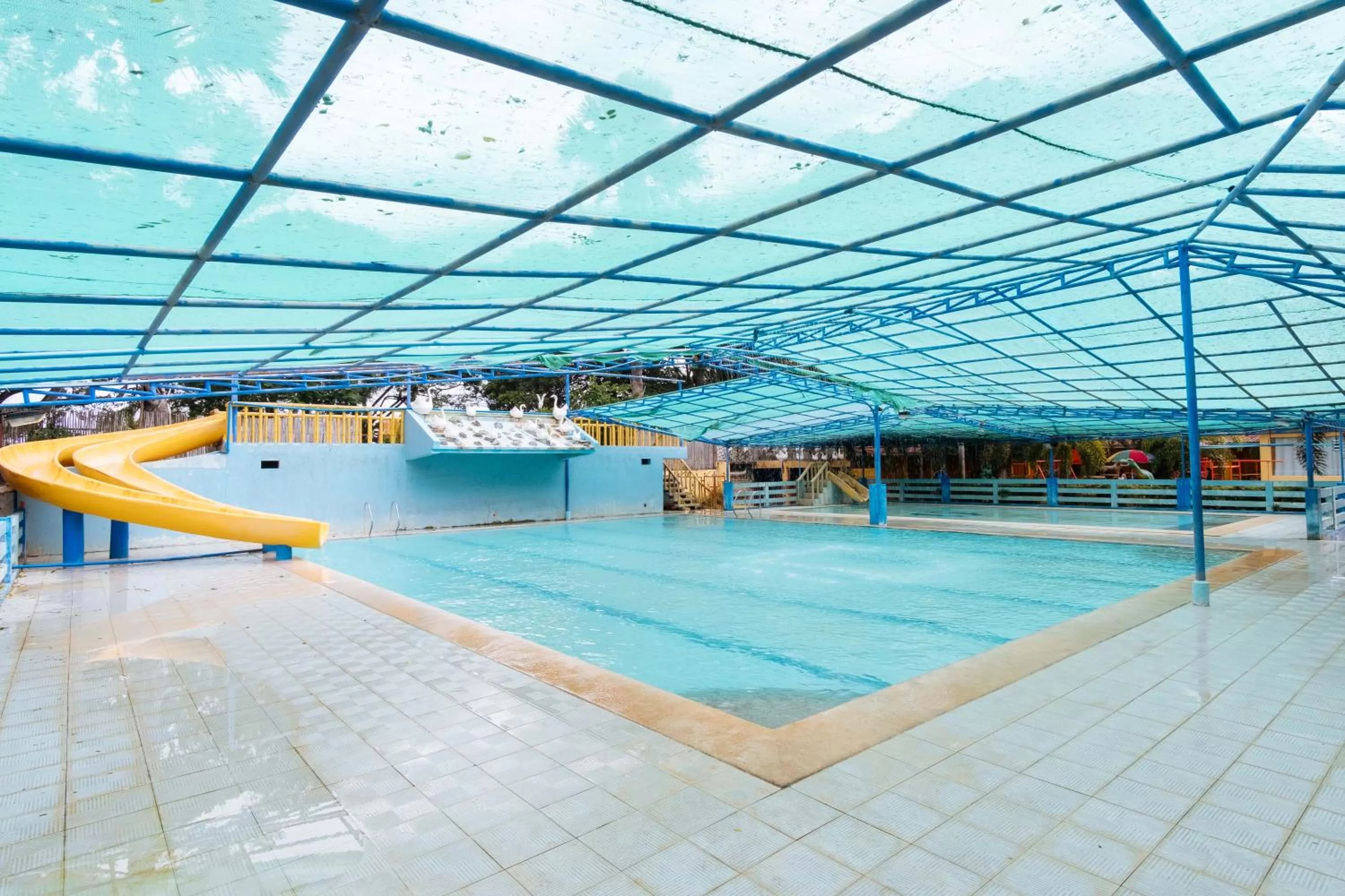 Pool view in RedDoorz Premium @ Gabinete Road Palawan