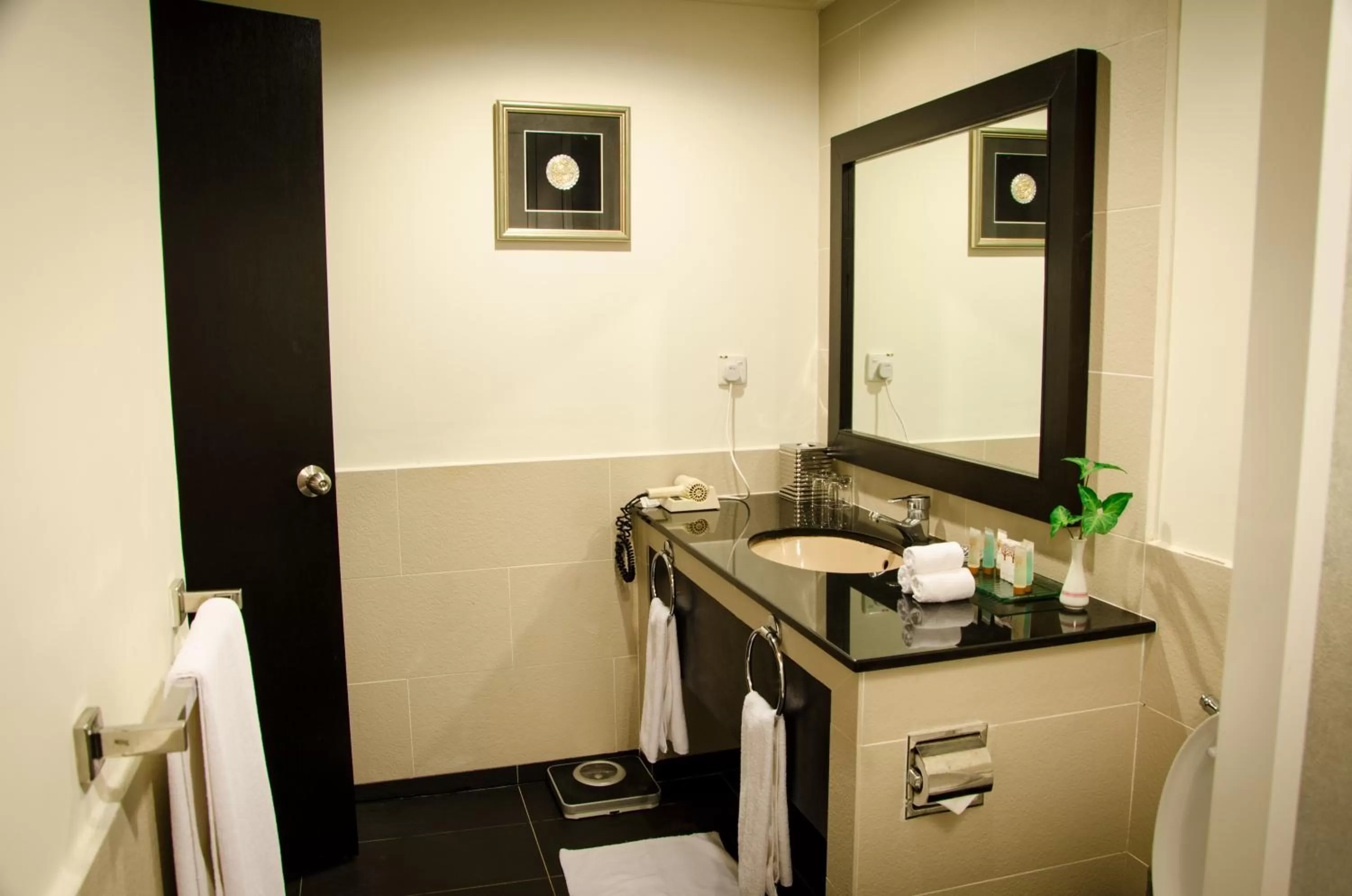 Bathroom in Mutiara Taman Negara