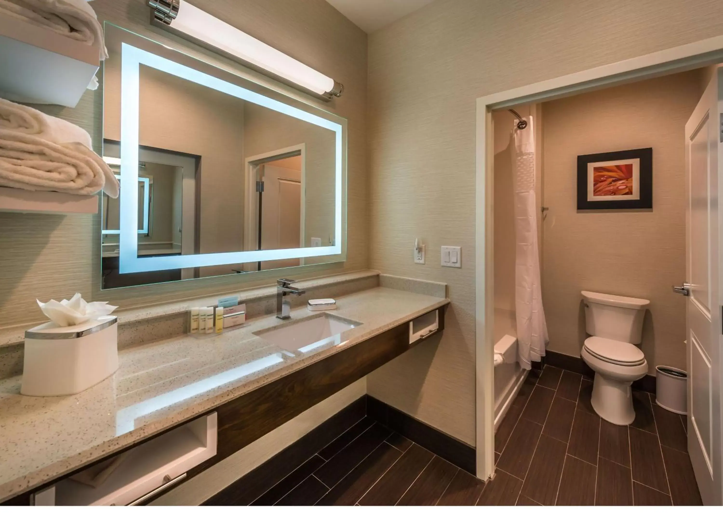 Bathroom in Hampton Inn & Suites - Reno West, NV