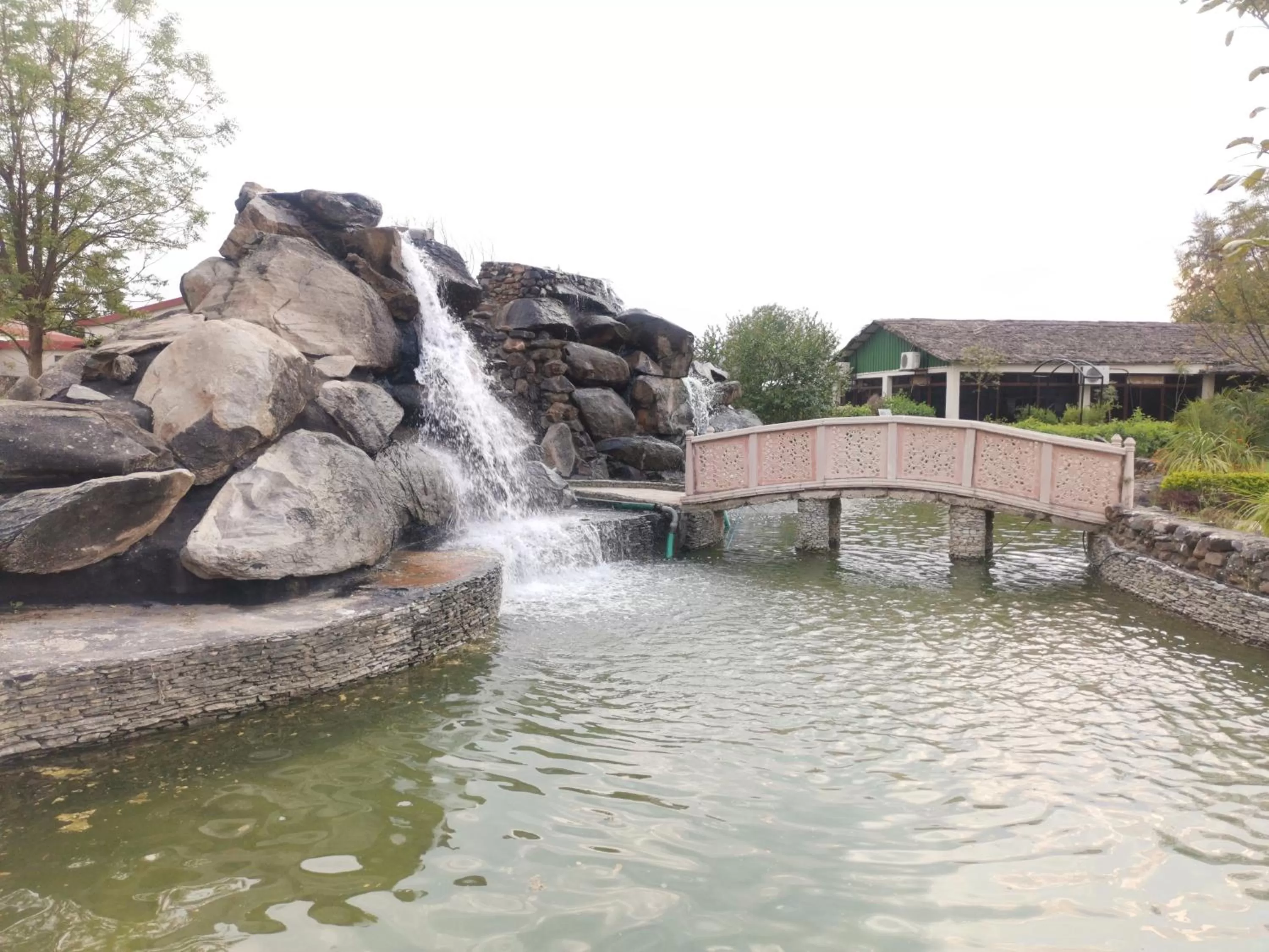 Day in Astroport Sariska Treetop by Eight Continents