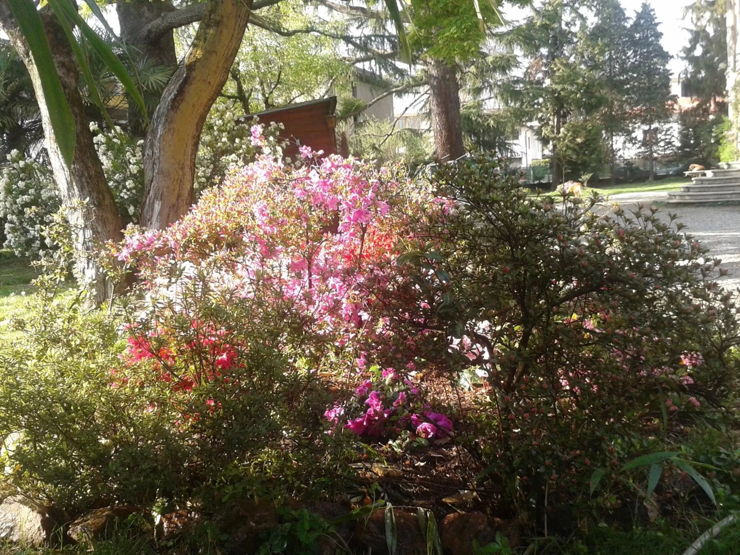 Spring, Garden in Invilla B&B