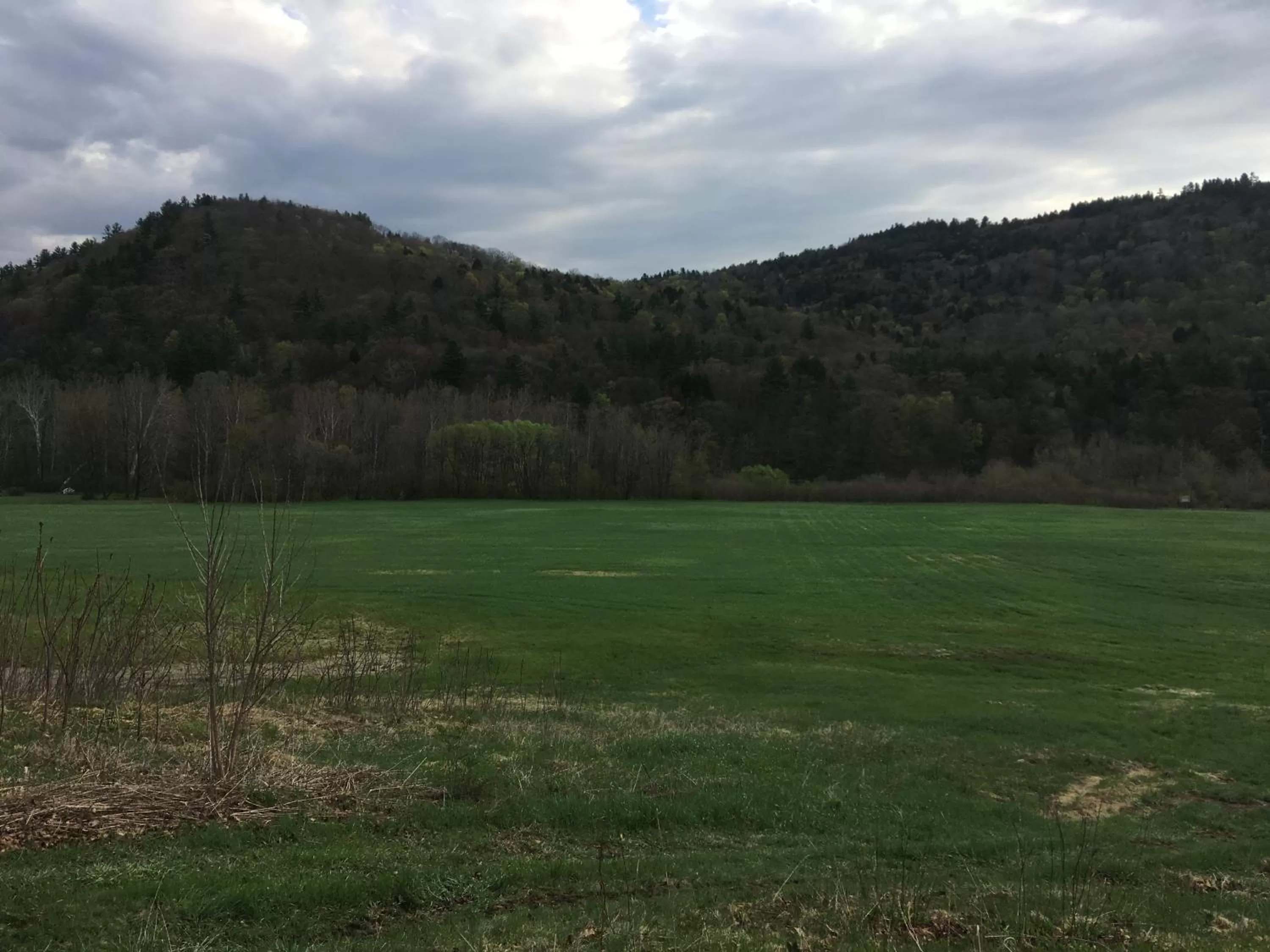Natural landscape in The Lodge at West River