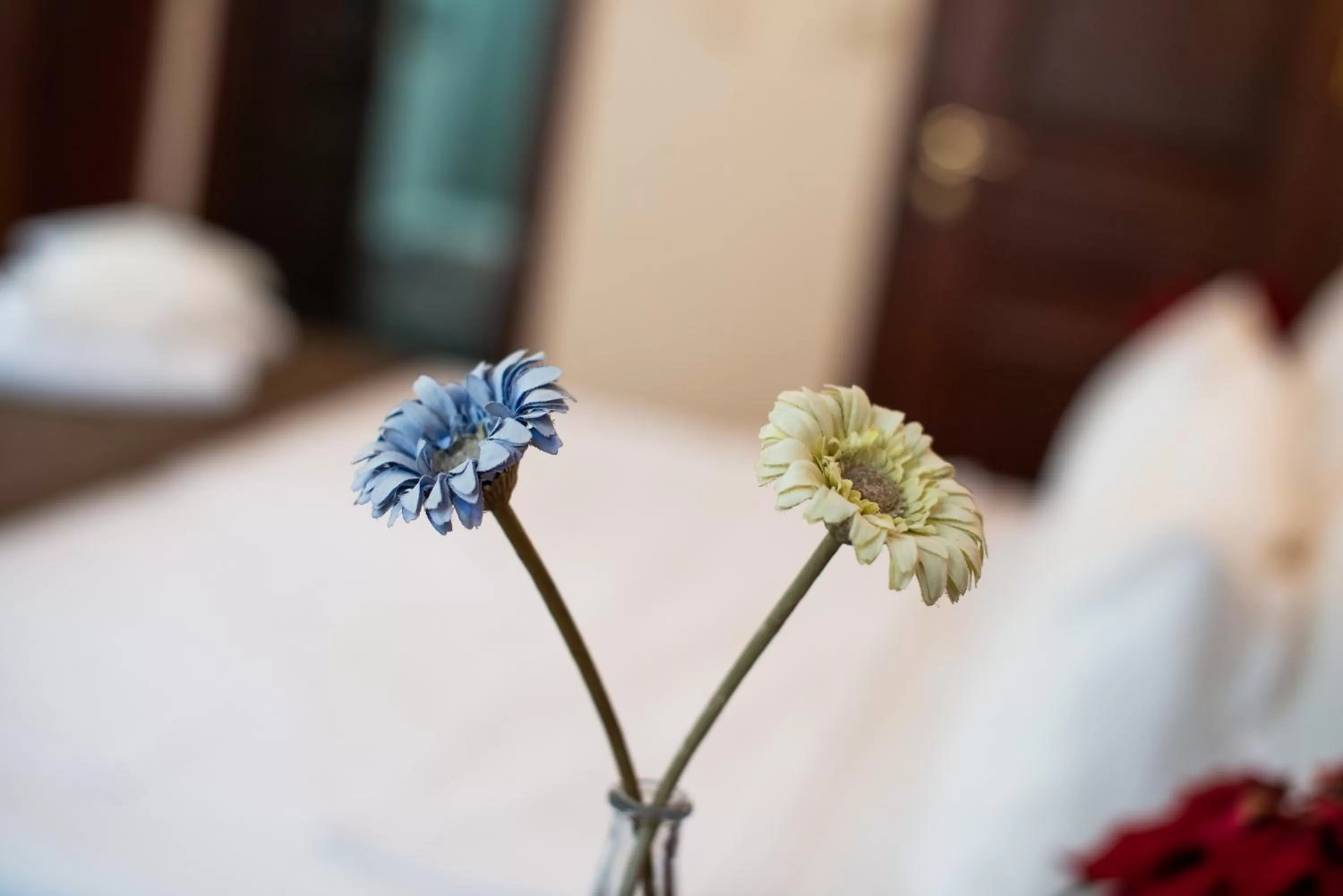 Decorative detail, Bed in Sultanahmet Cesme Hotel