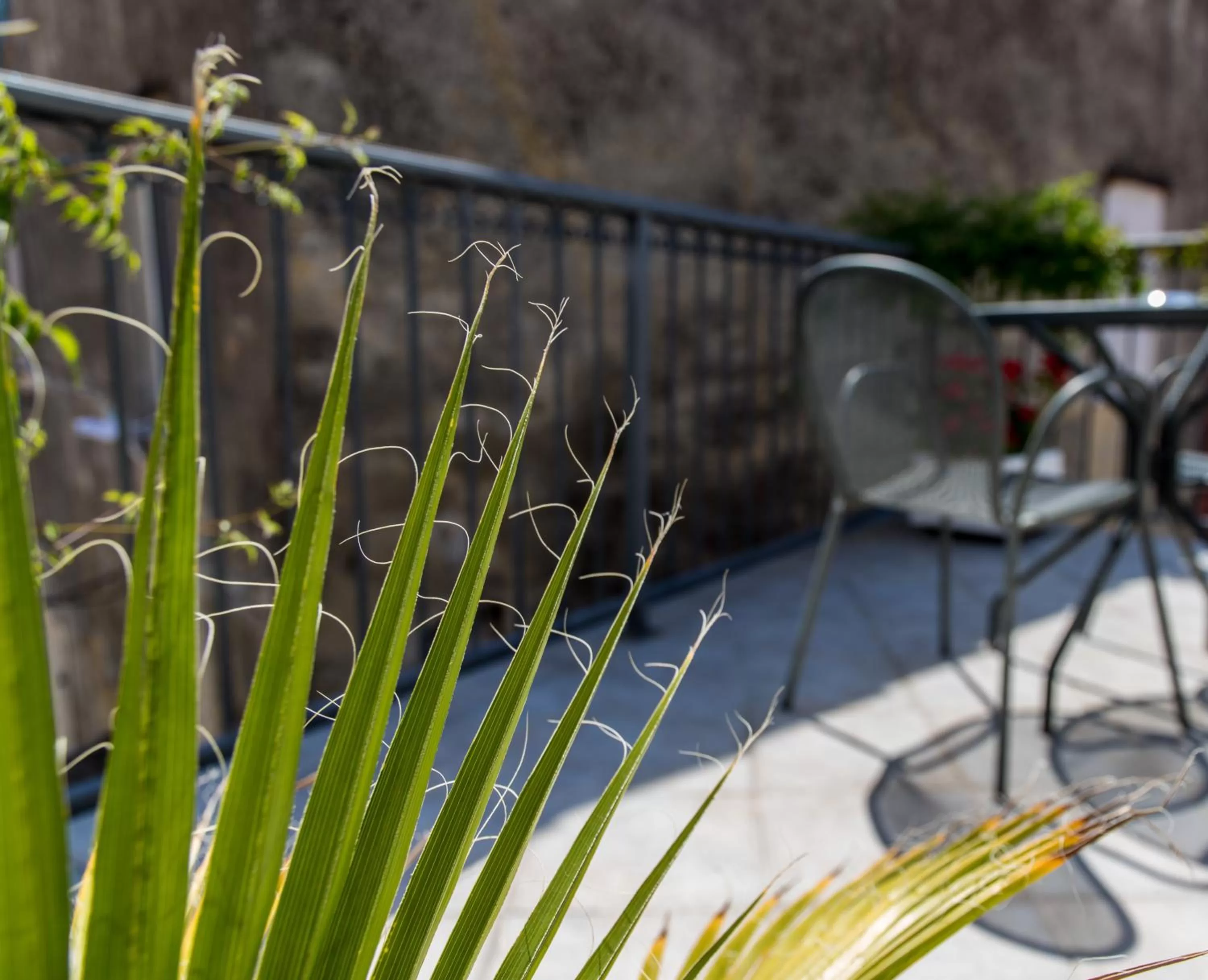 Spring in Slavija Culture Heritage Hotel