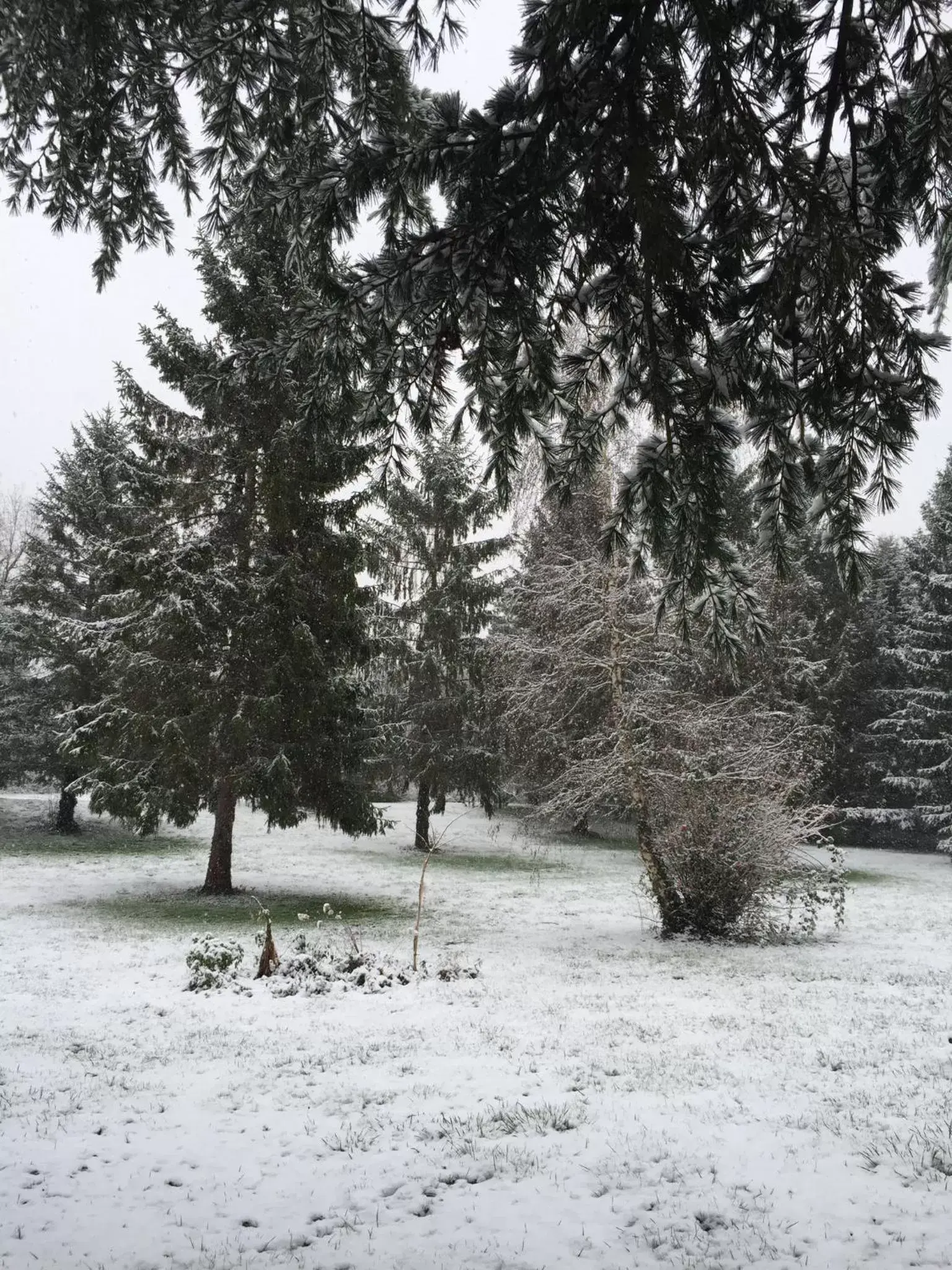 Day, Winter in Les Colonnes De Chanteloup