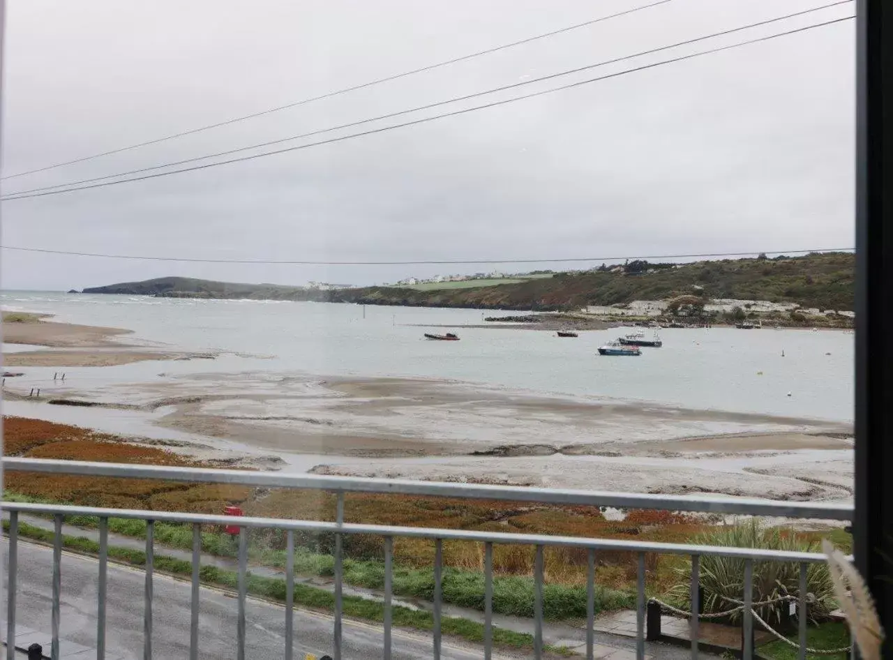 Balcony/Terrace in The Teifi Waterside Hotel