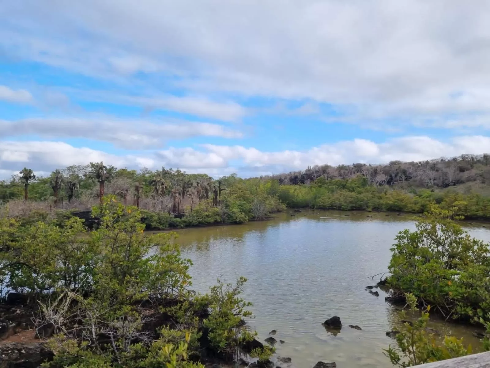 Natural landscape in Patty House Galapagos