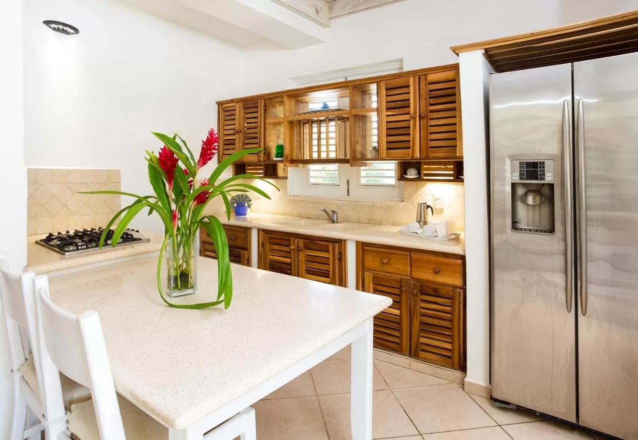 Kitchen or kitchenette in Albachiara Hotel - Las Terrenas