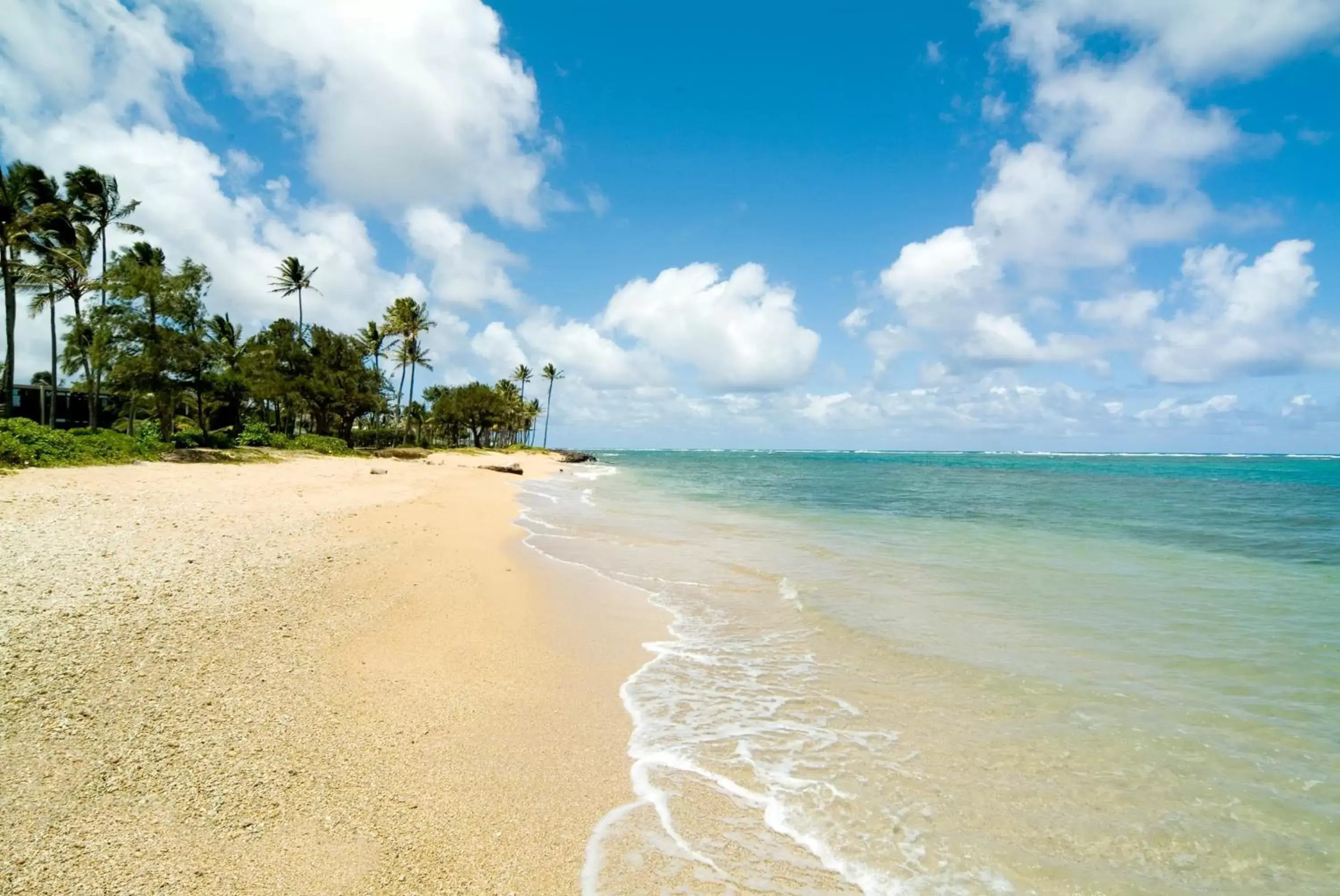 Beach in Hotel Coral Reef