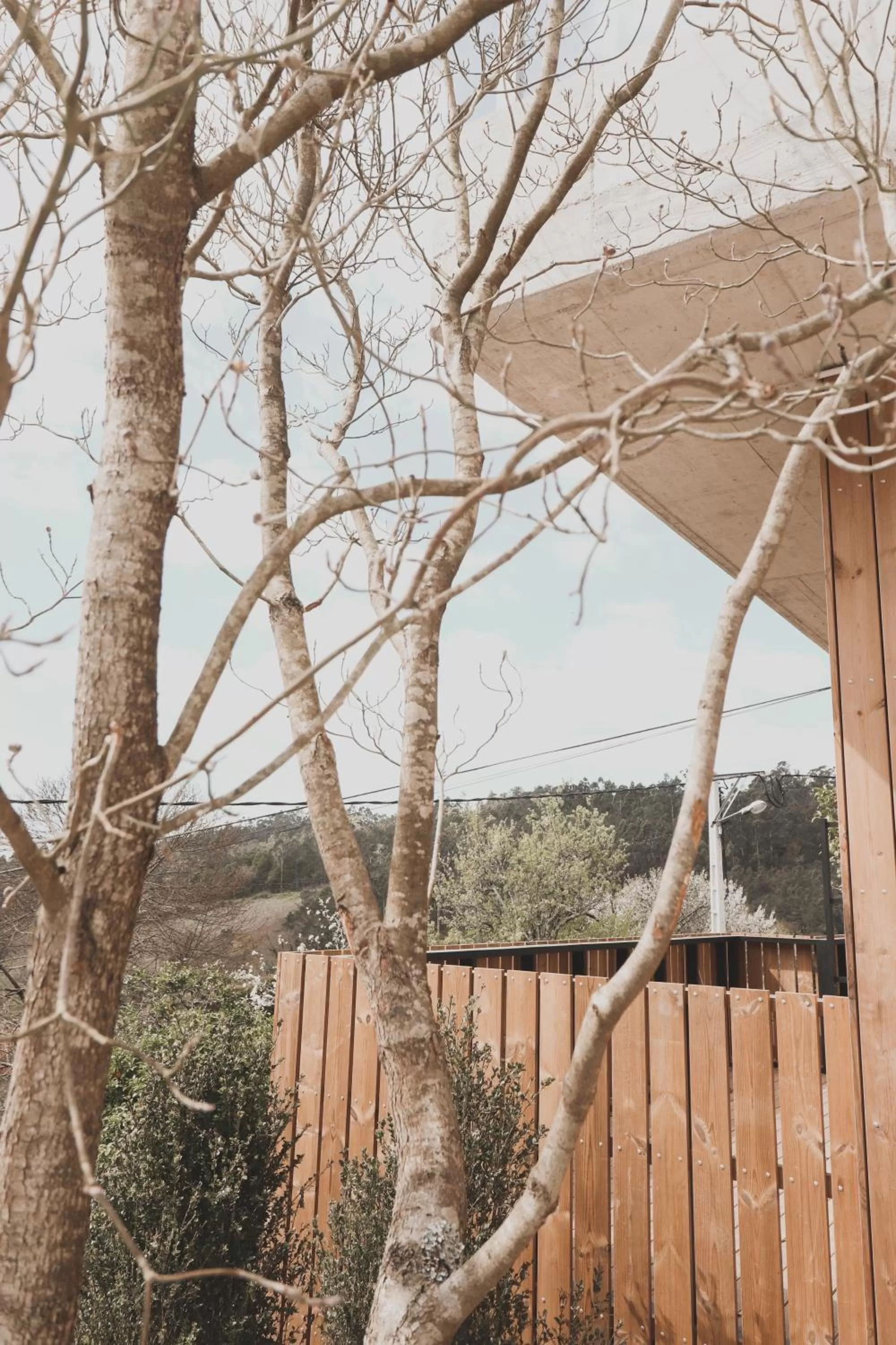 Winter in Atmos Hotel Boutique