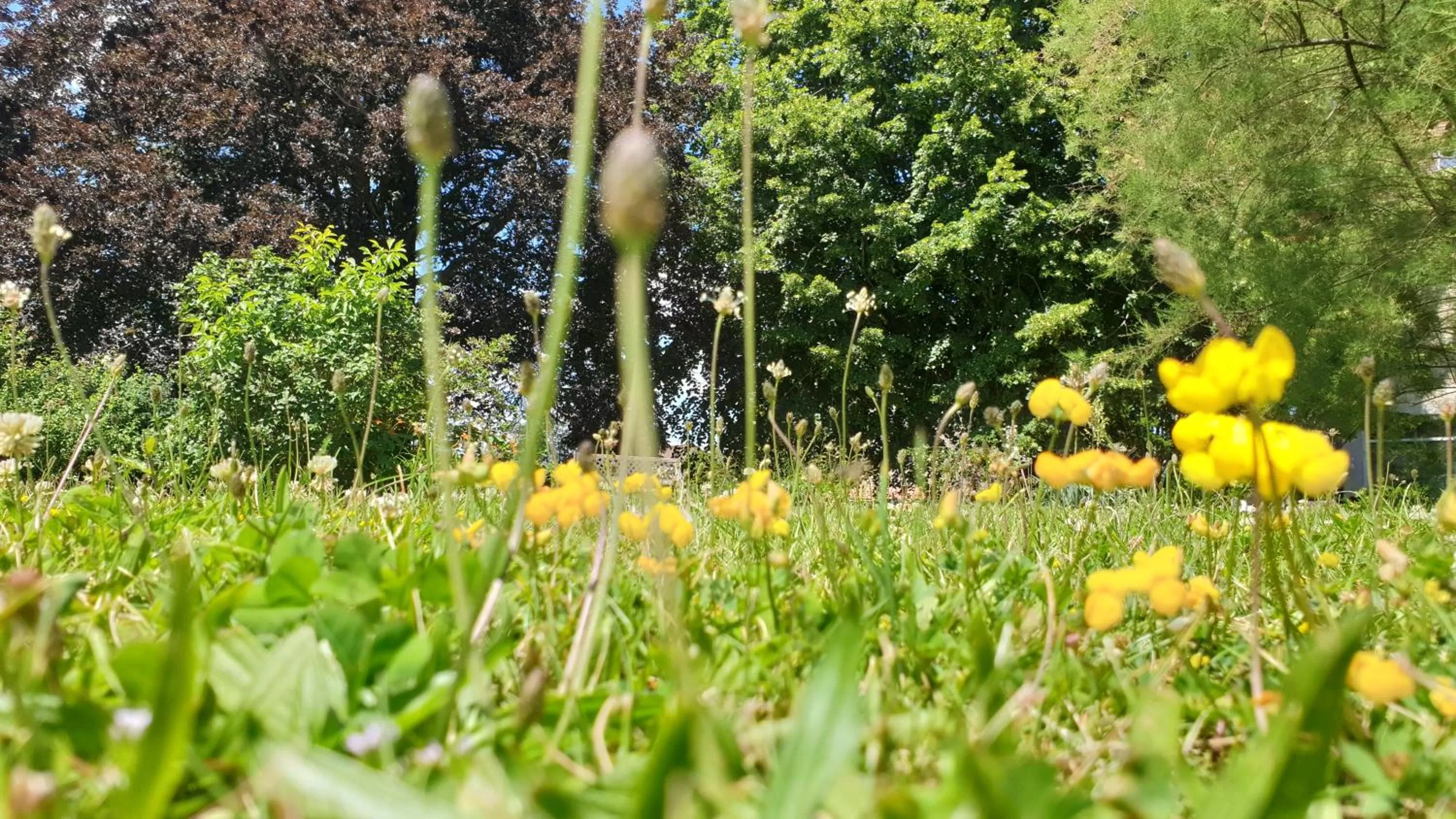 De passage chez Lili