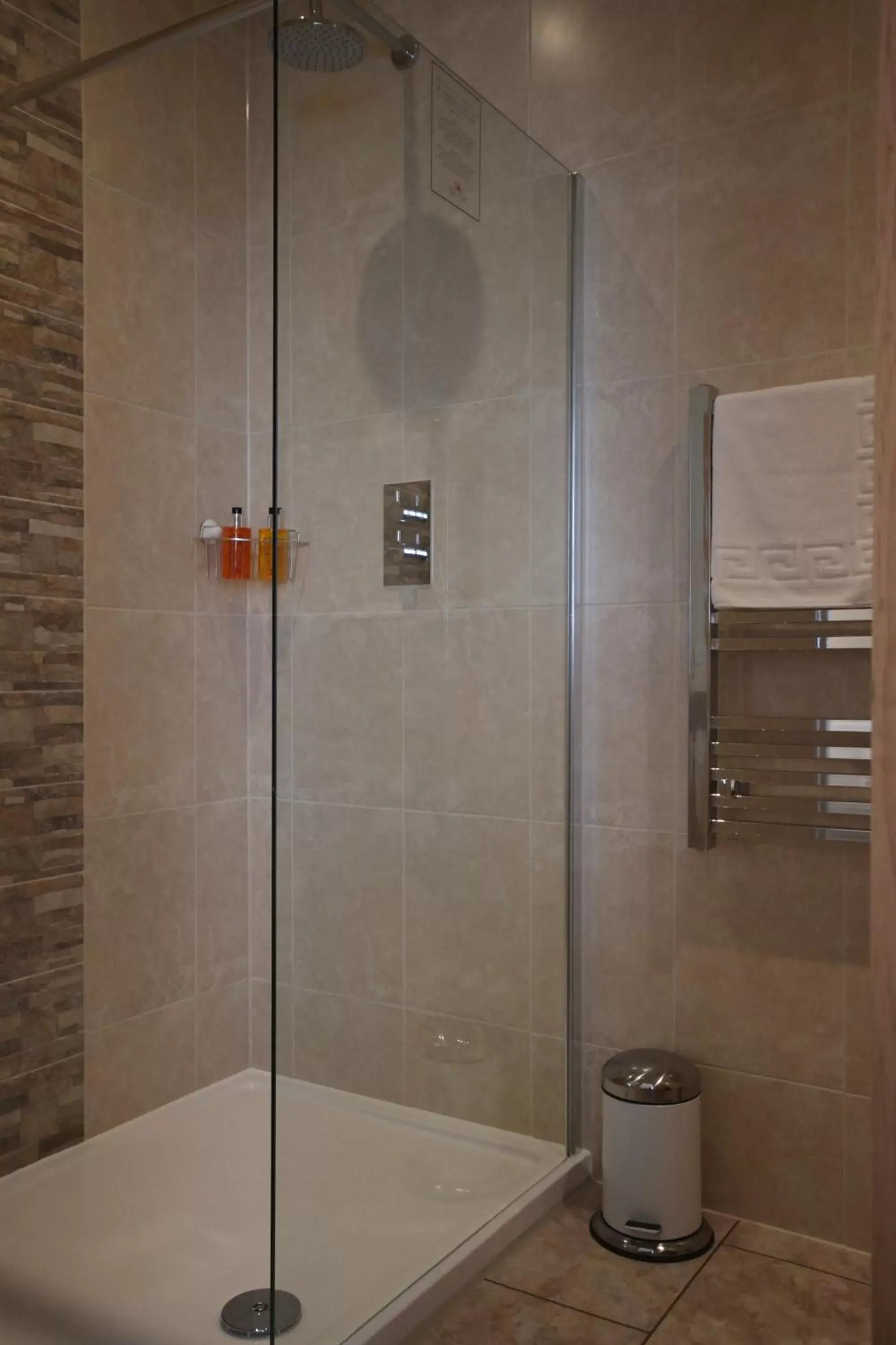 Shower, Bathroom in The Lion Hotel
