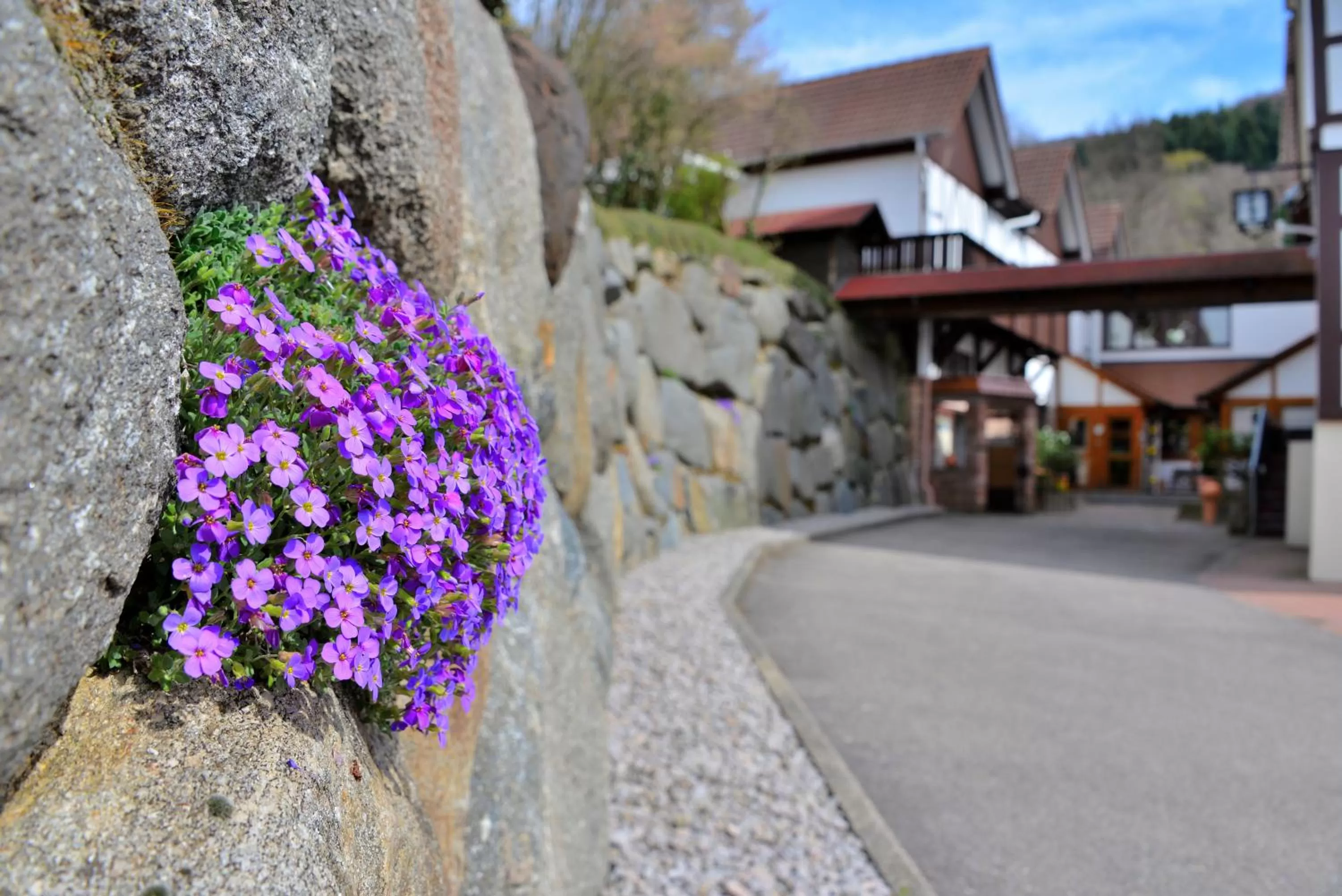 Property building in RelaxHotel Tannenhof