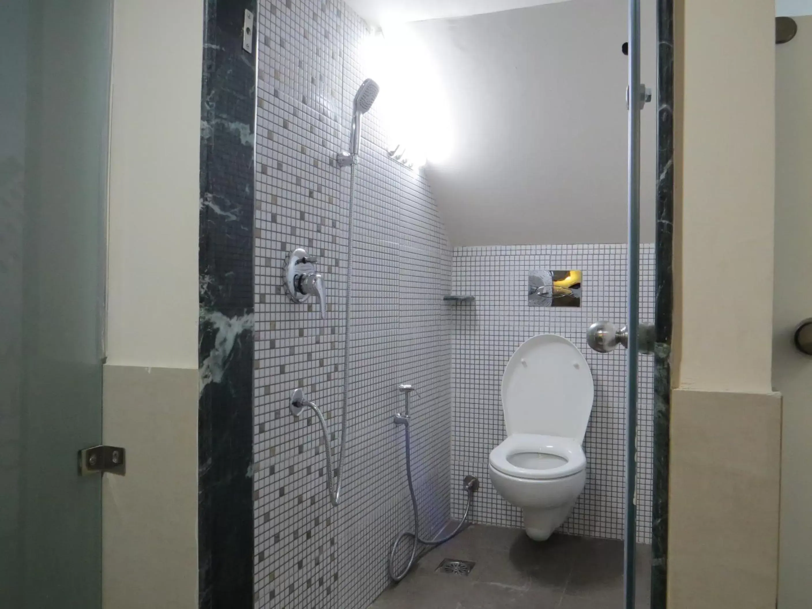 Shower, Bathroom in Smyle Inn - Best Value Hotel near New Delhi Station