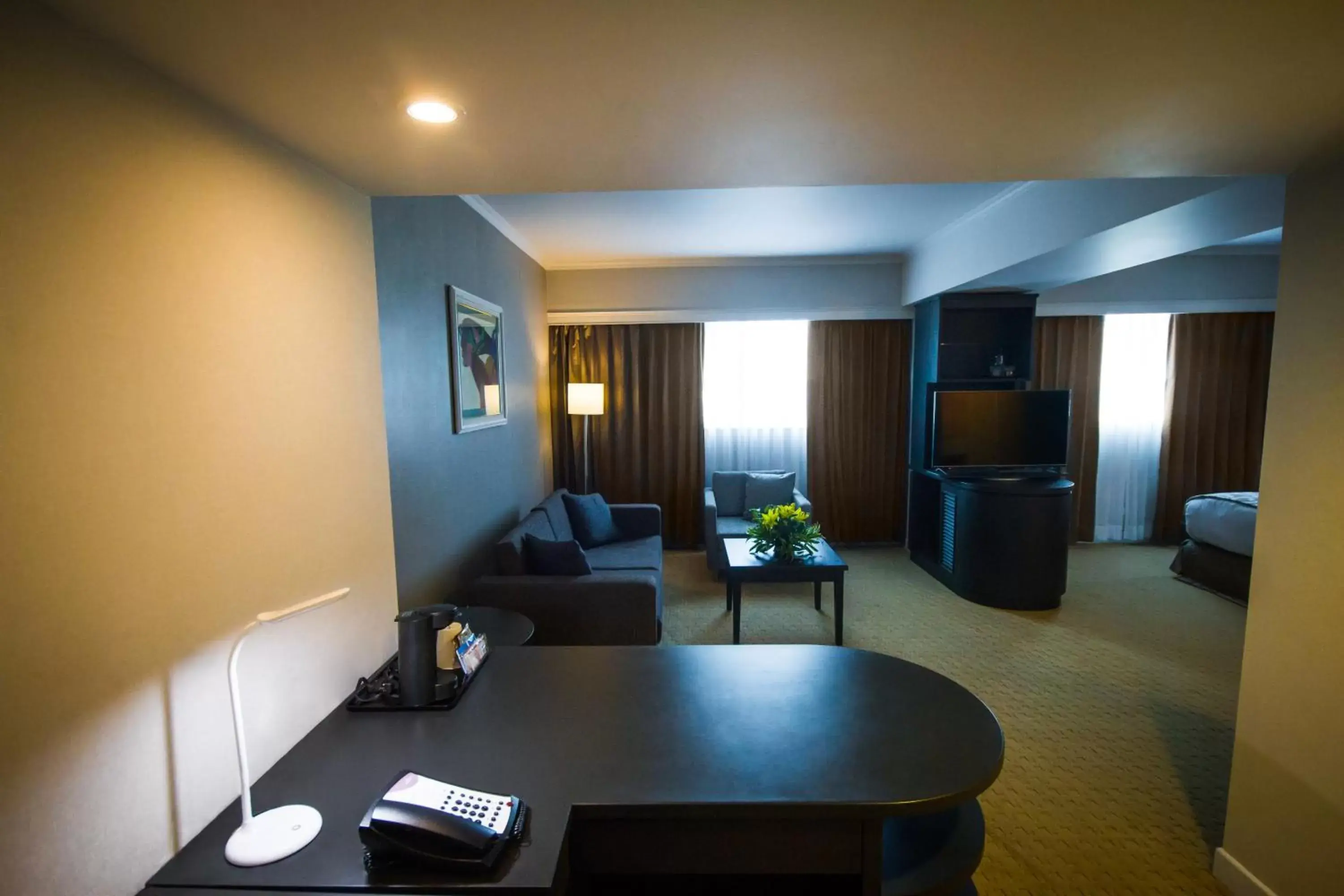 Photo of the whole room, Seating Area in Crowne Plaza Managua, an IHG Hotel