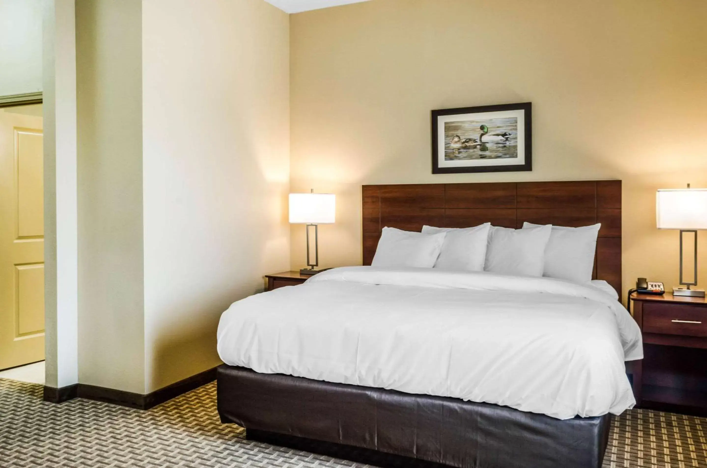 Photo of the whole room, Bed in MainStay Suites Hackberry Sportsman's Lodge