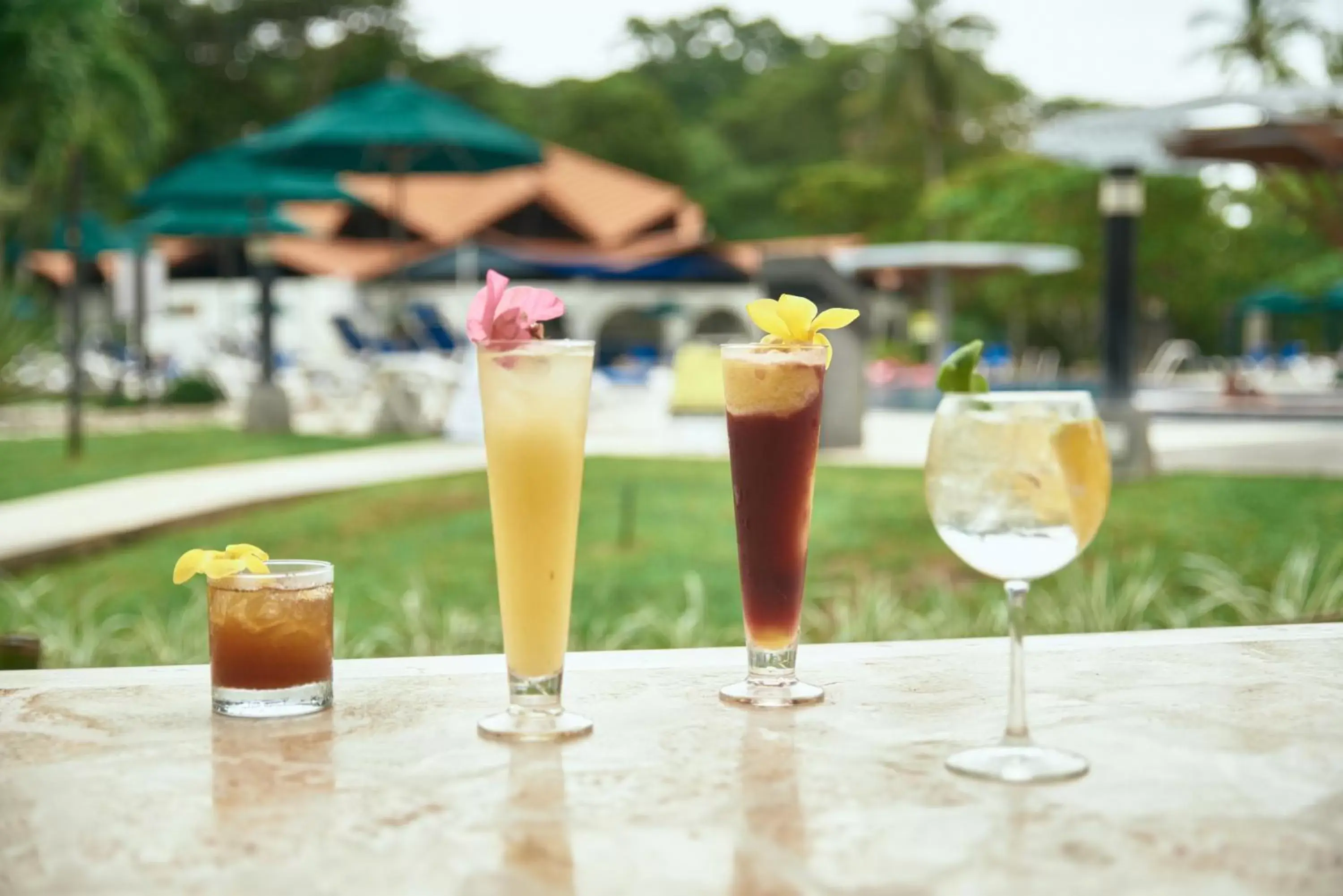 Garden, Drinks in Hotel Punta Leona