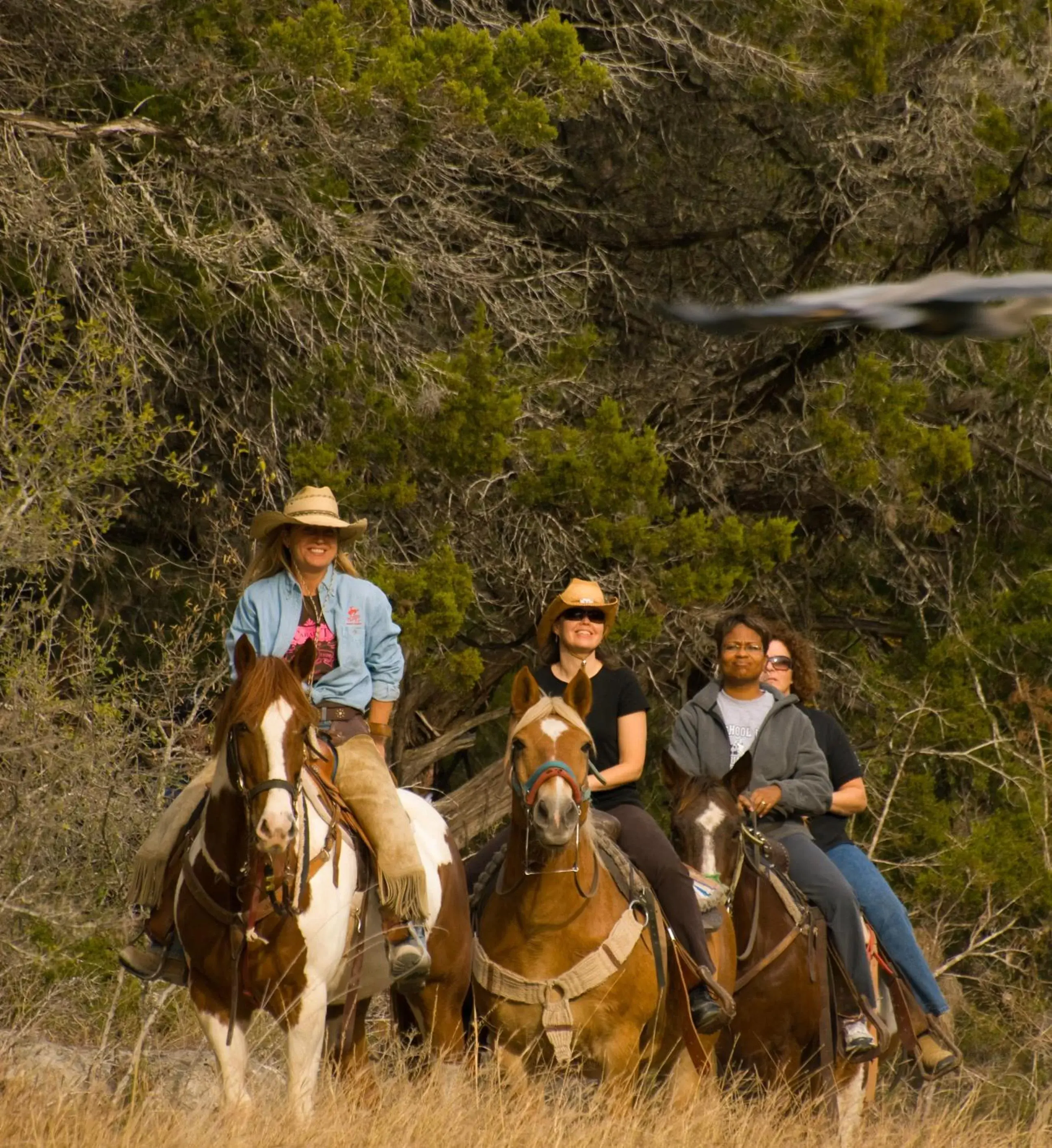 Horse-riding, Horseback Riding in Flying L Ranch Resort