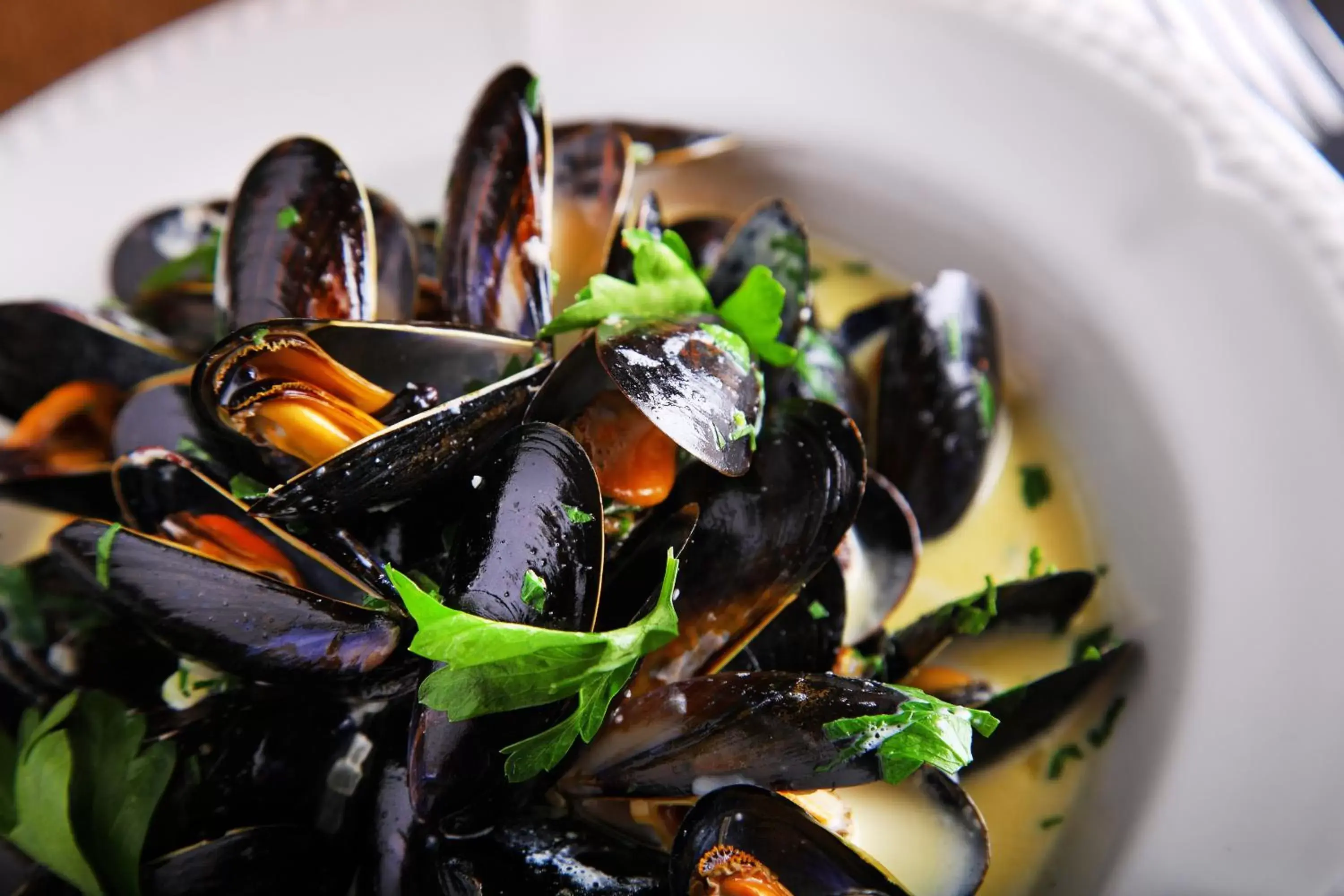 Food close-up, Food in The Plough Inn