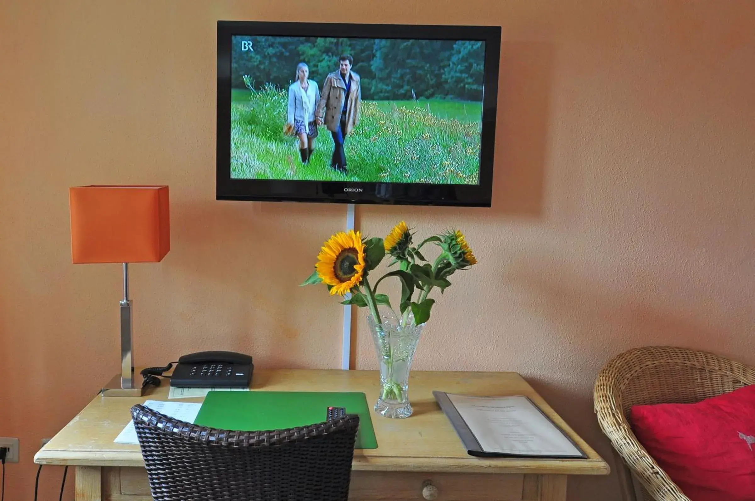 TV and multimedia, Seating Area in Landhotel Schloss Buttenheim