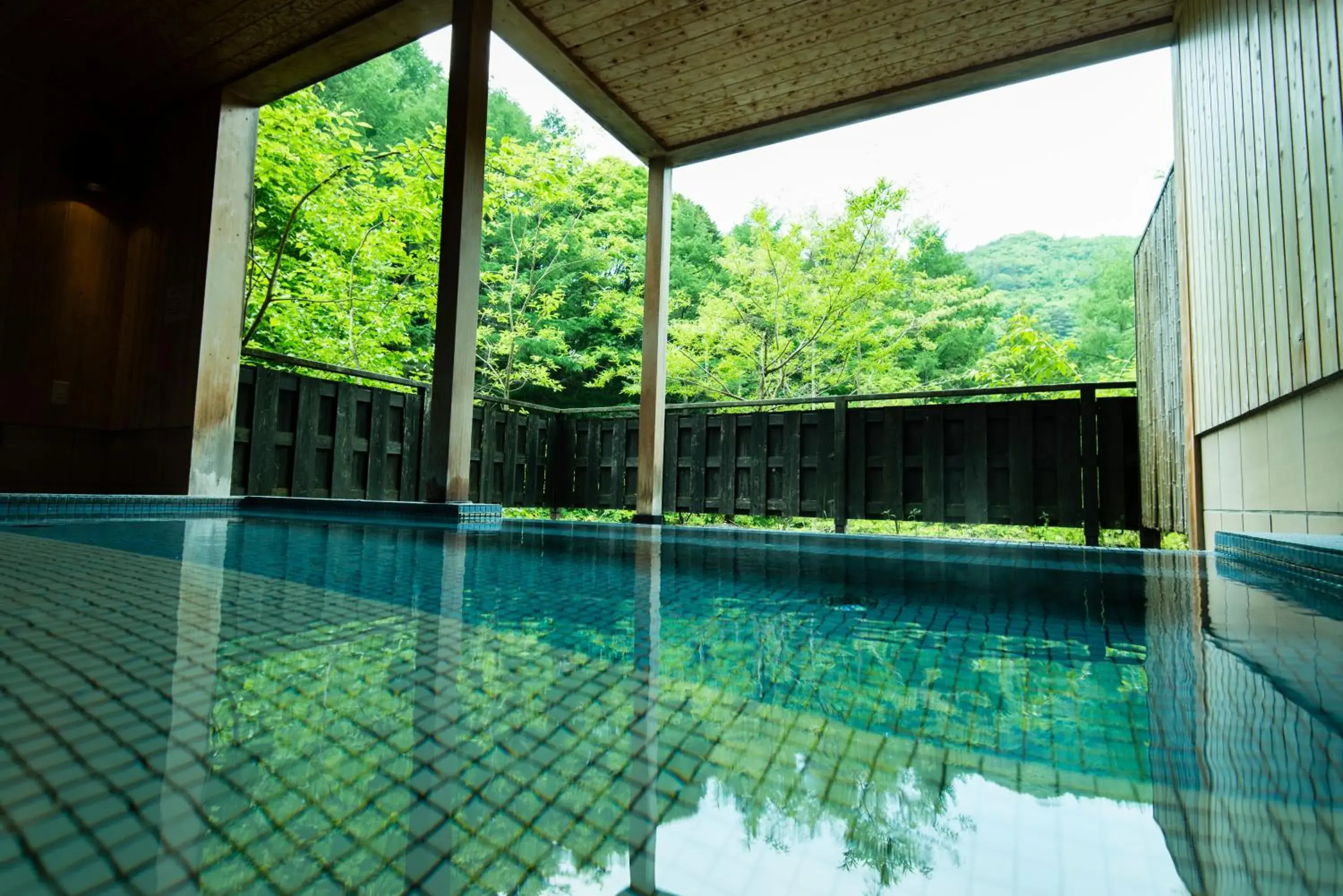 Hot Spring Bath, Swimming Pool in Myojinkan Ryokan