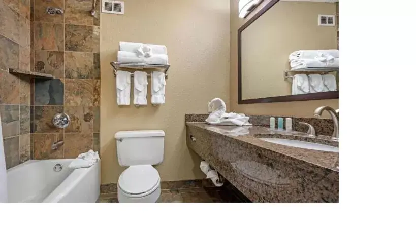 Bathroom in Comfort Suites Georgetown