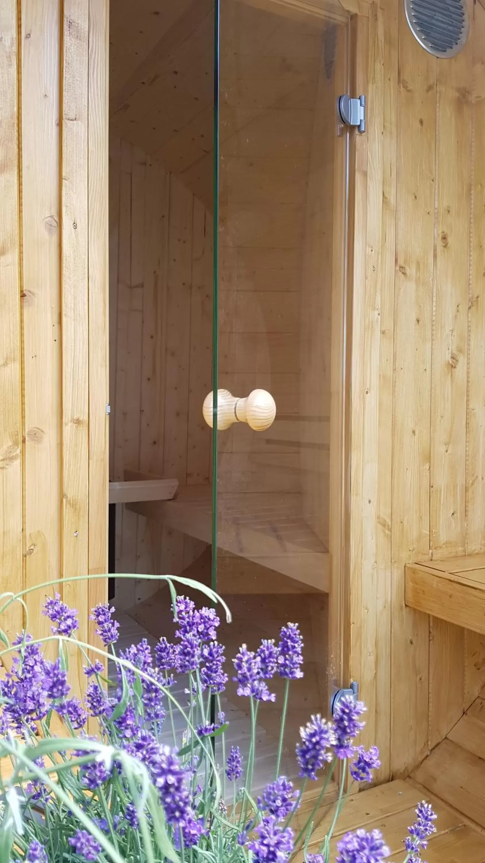 Sauna, Bathroom in Hotel Villa Maya