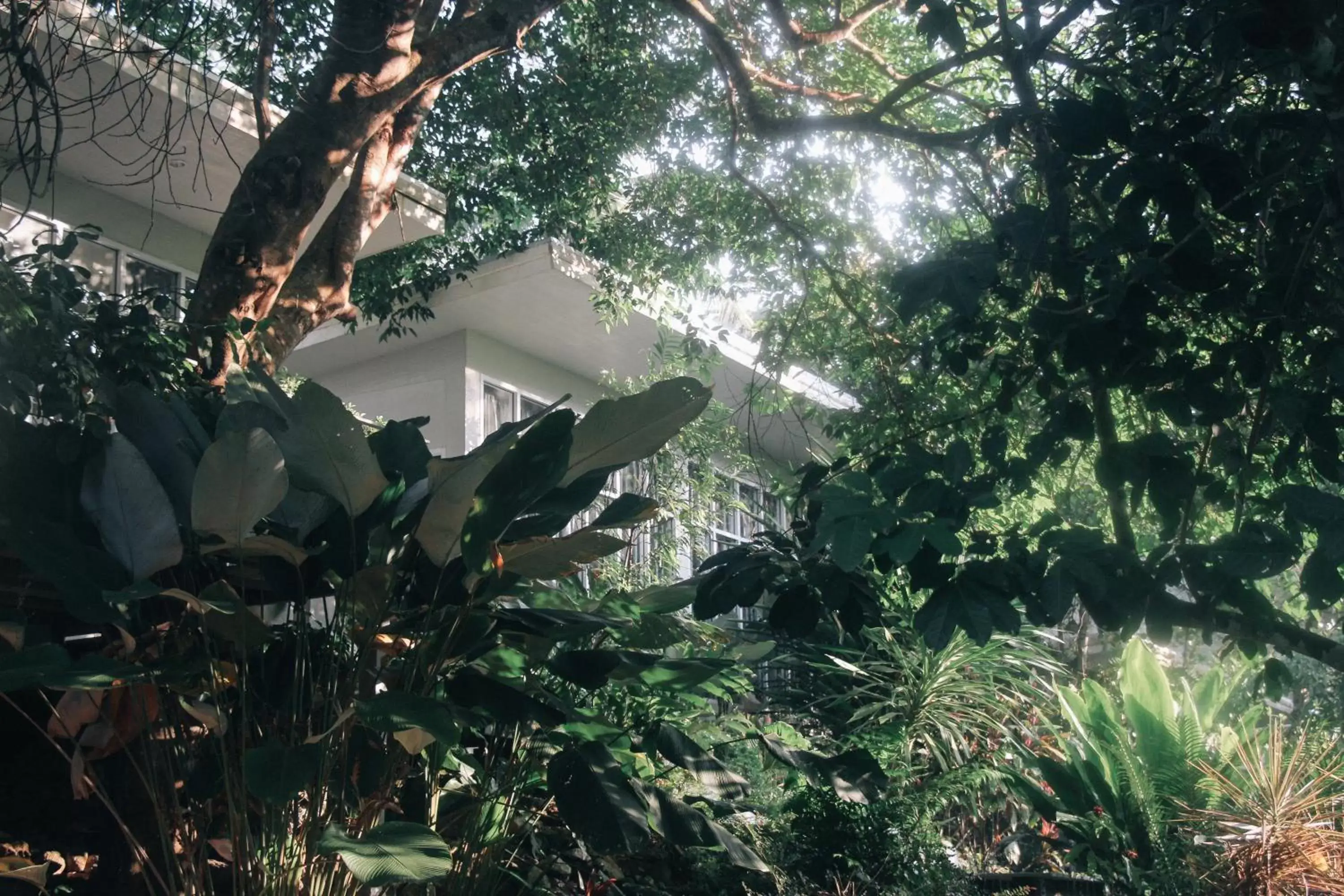 Garden, Property Building in The Hidden Resort