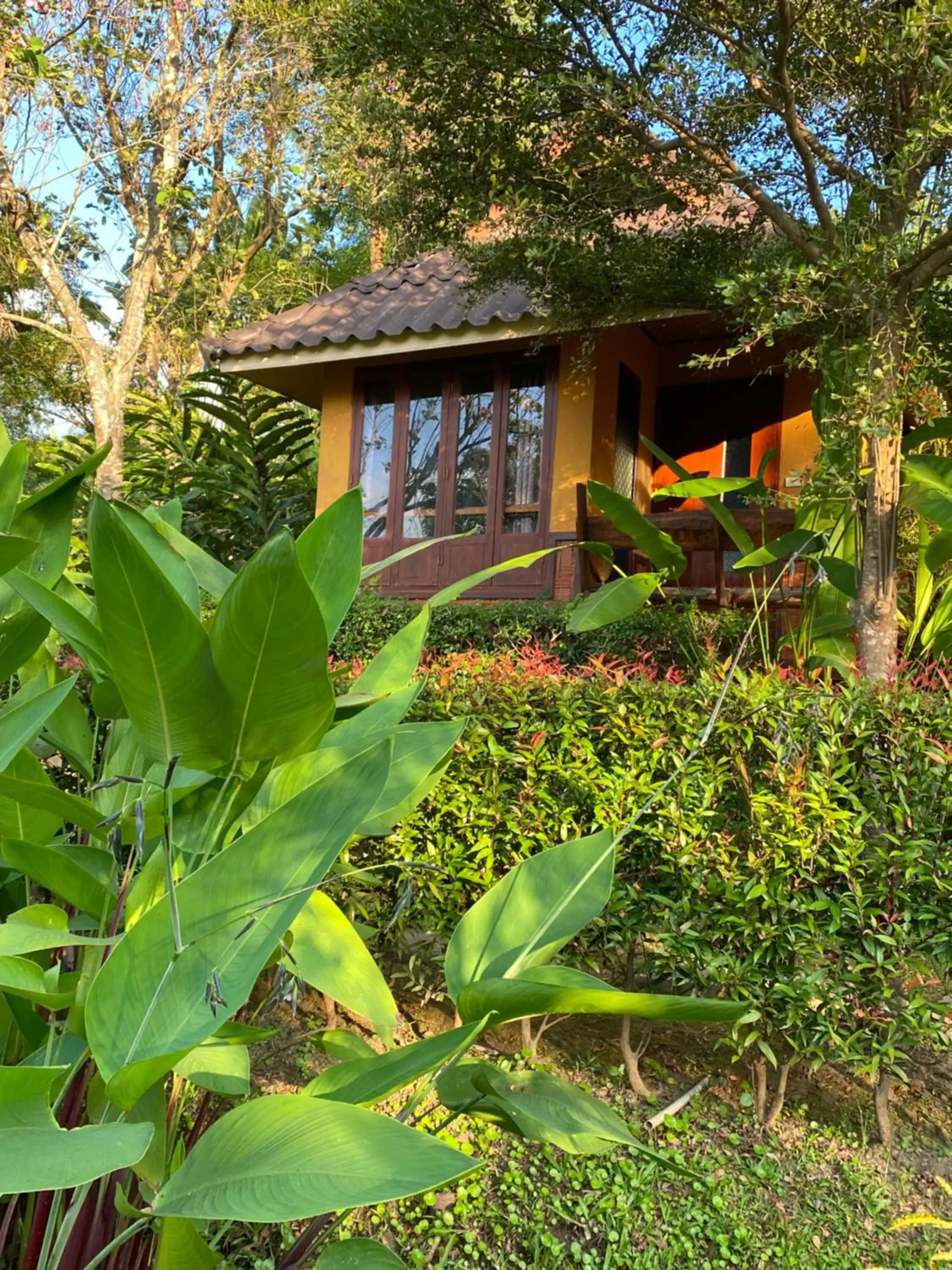 Garden view, Property Building in Pura Vida Pai Resort