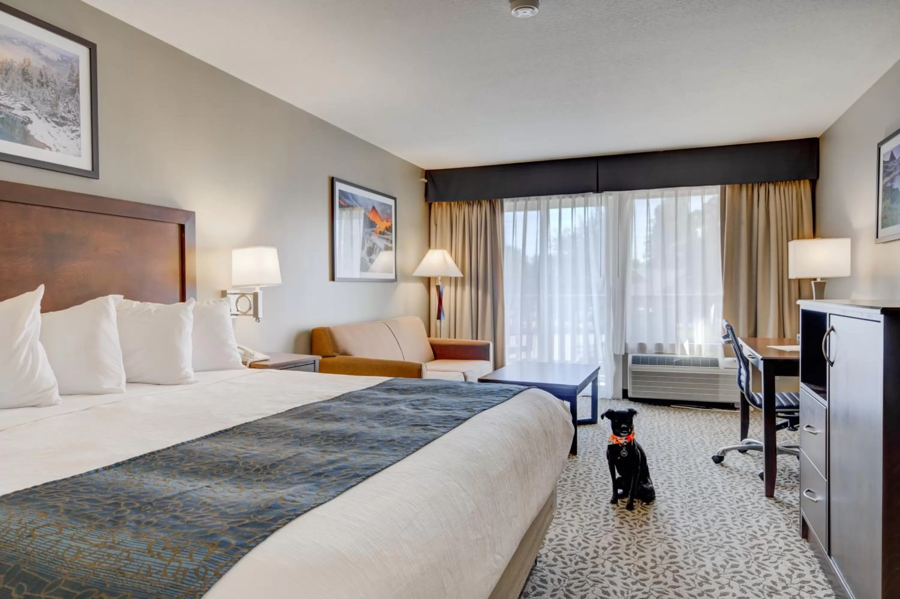 Pets, Bed in Whitefish Riverfront Hotel