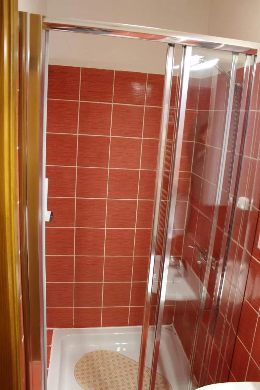 Shower in Wellness B&B Winery Sontacchi