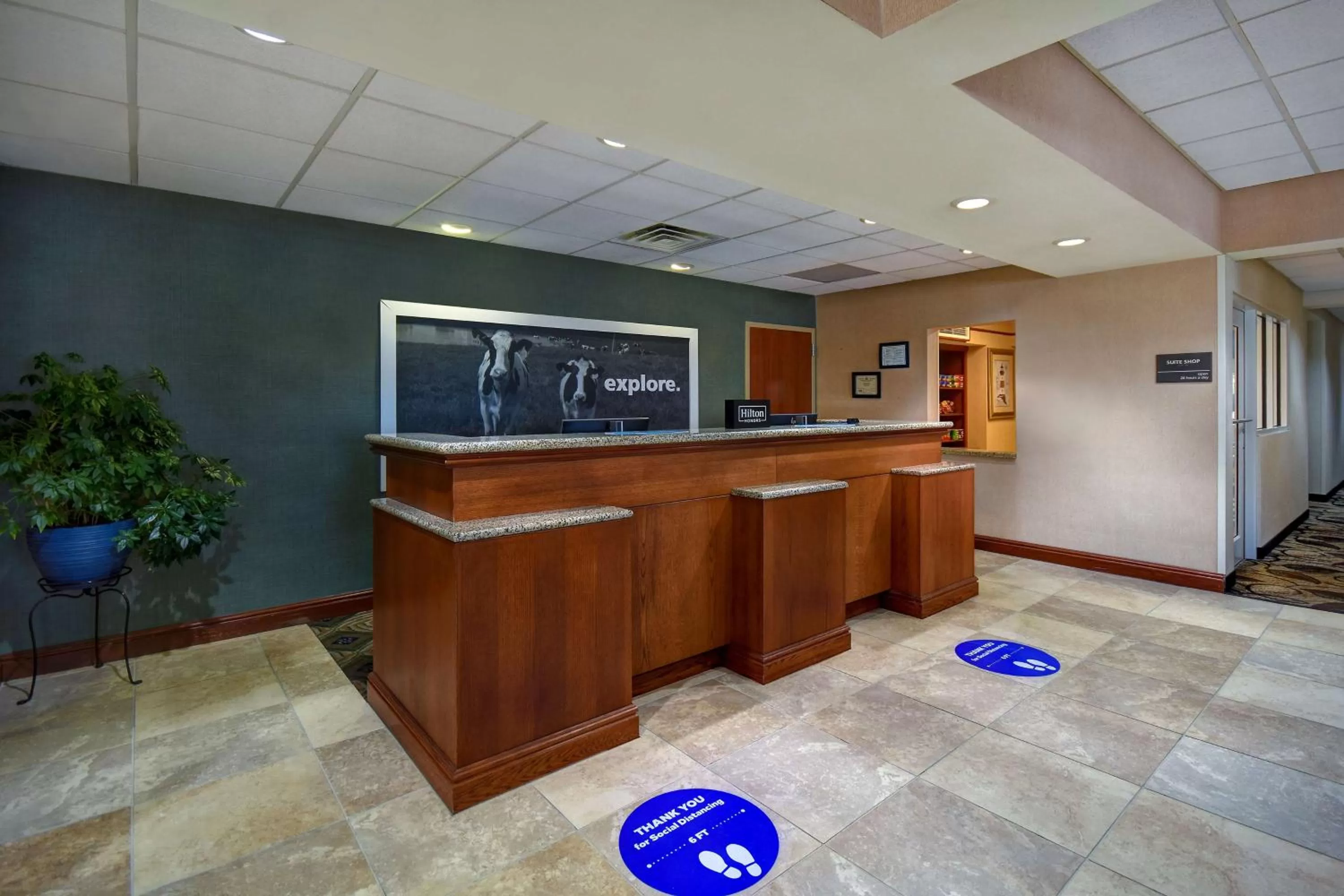 Lobby or reception in Hampton Inn Rutland/Killington
