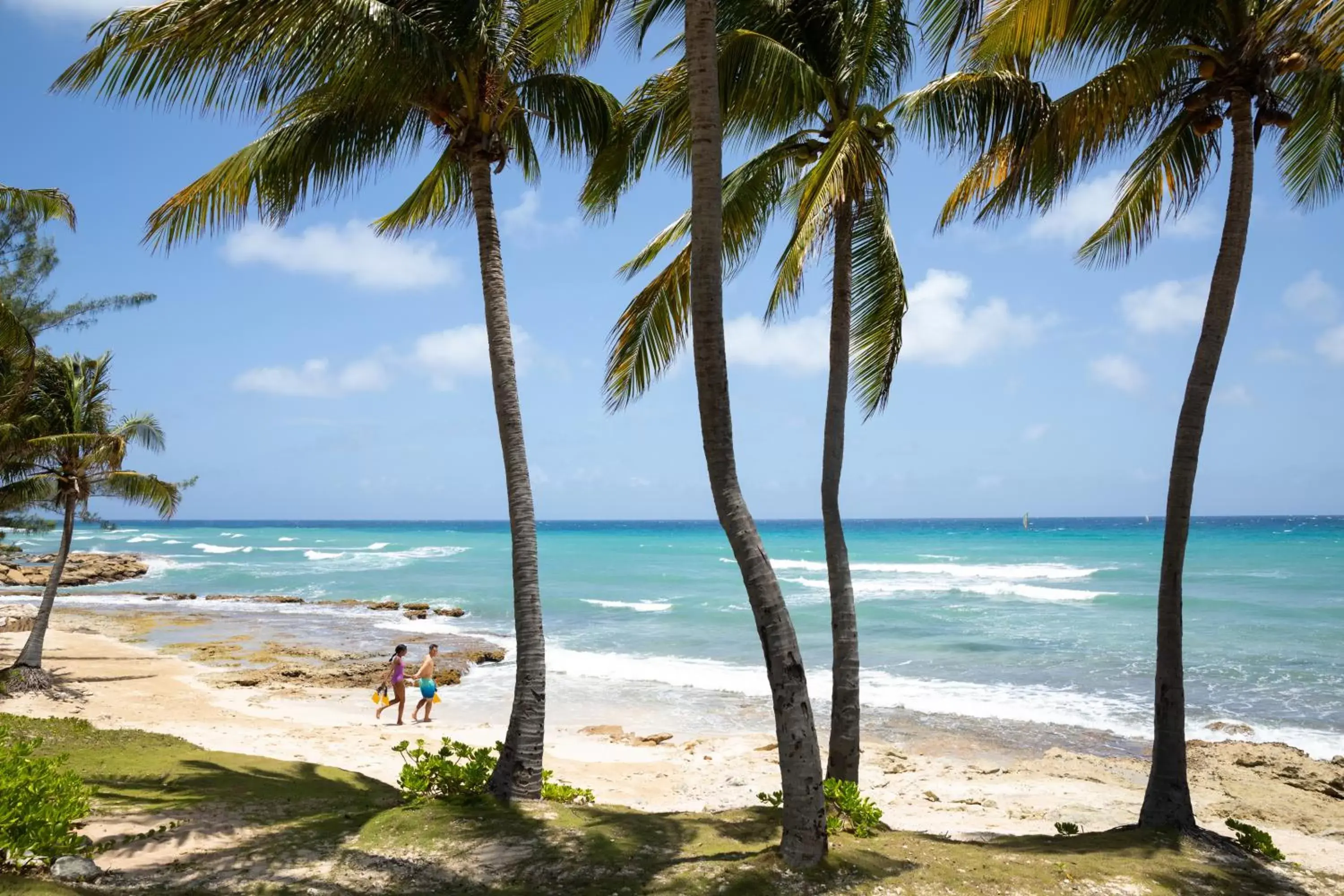 Natural landscape, Beach in Hyatt Zilara Rose Hall Adults Only - All Inclusive