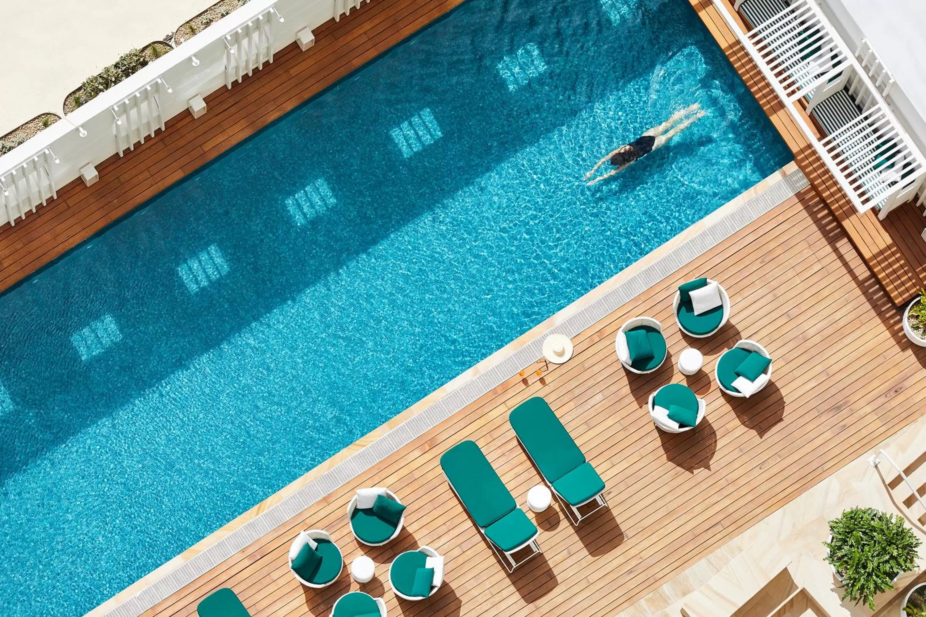 Day in Swissotel Sydney