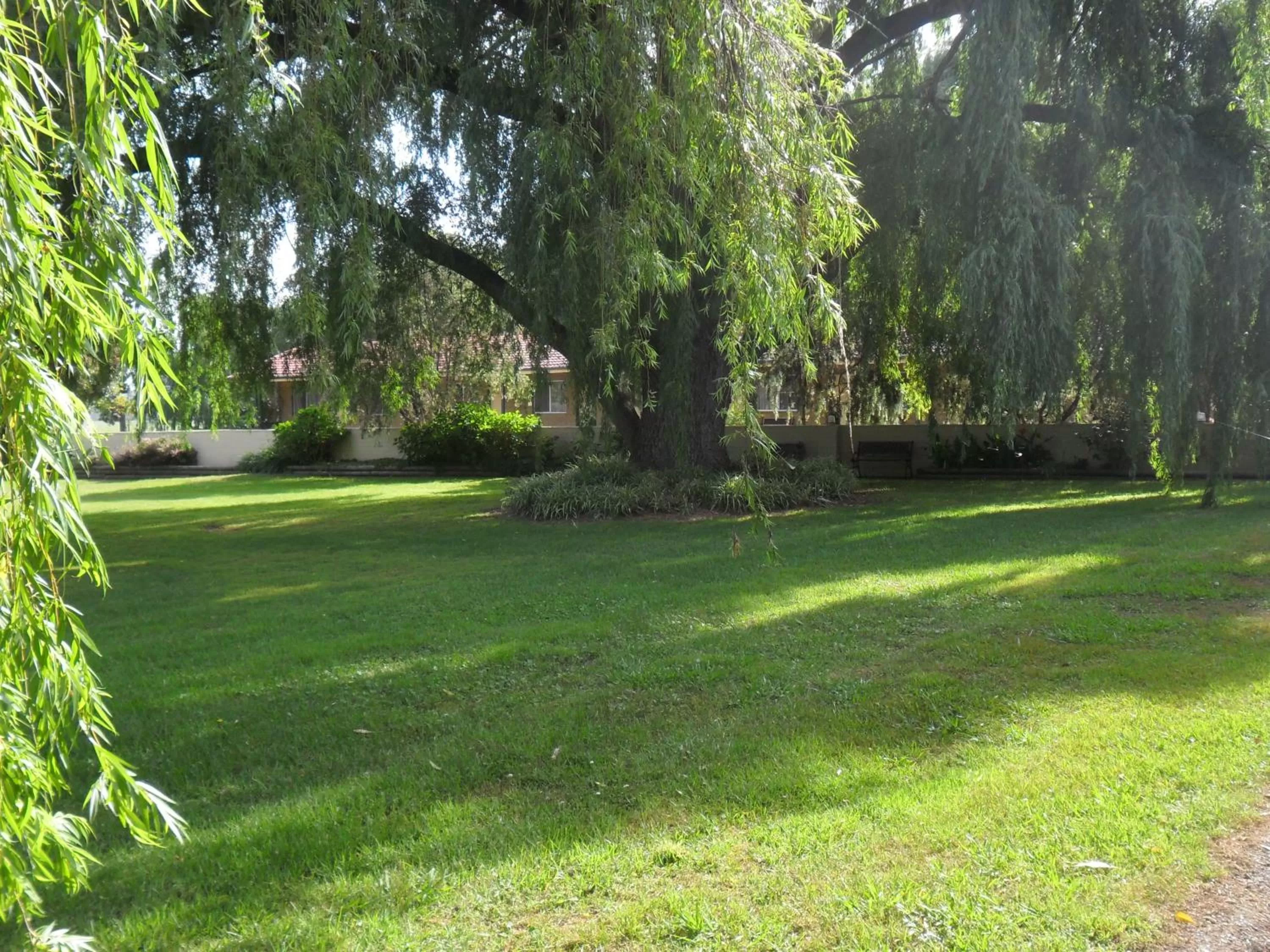 Garden in Moruya Motel