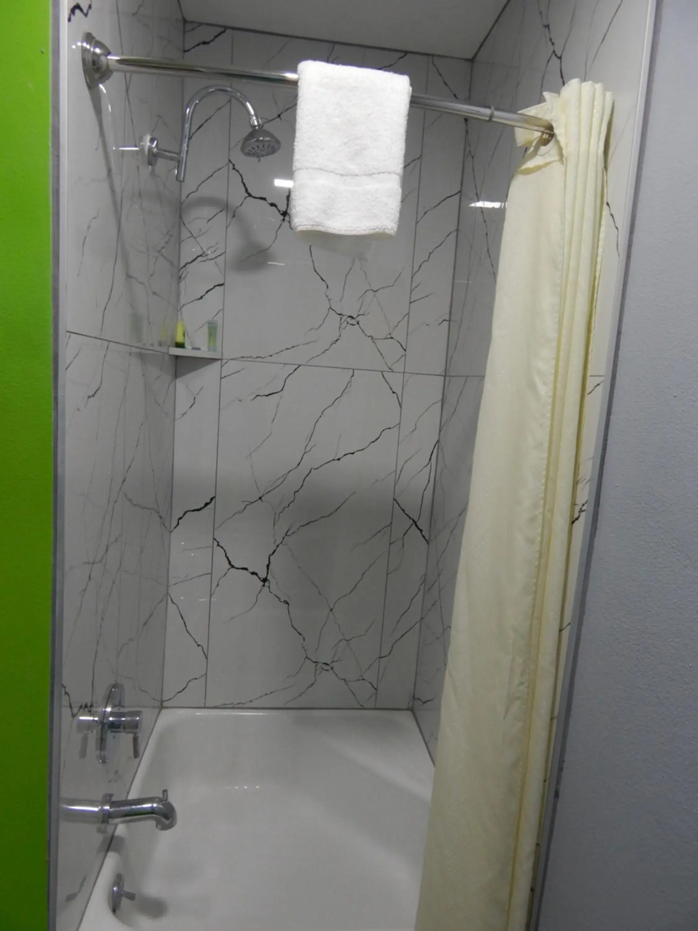 Shower, Bathroom in Executive Inn Fort Stockton