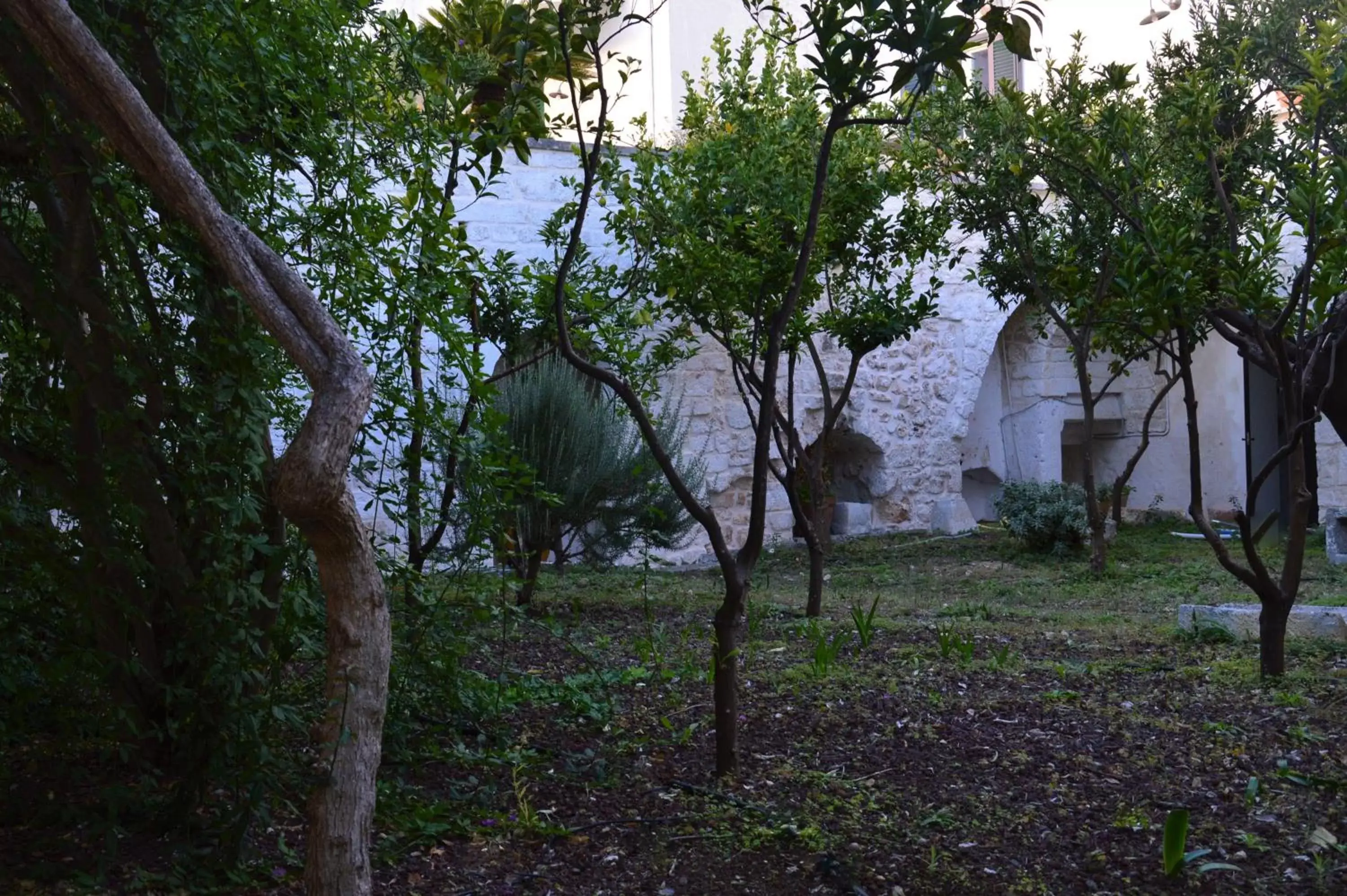 Garden in Il Sogno delle Benedettine