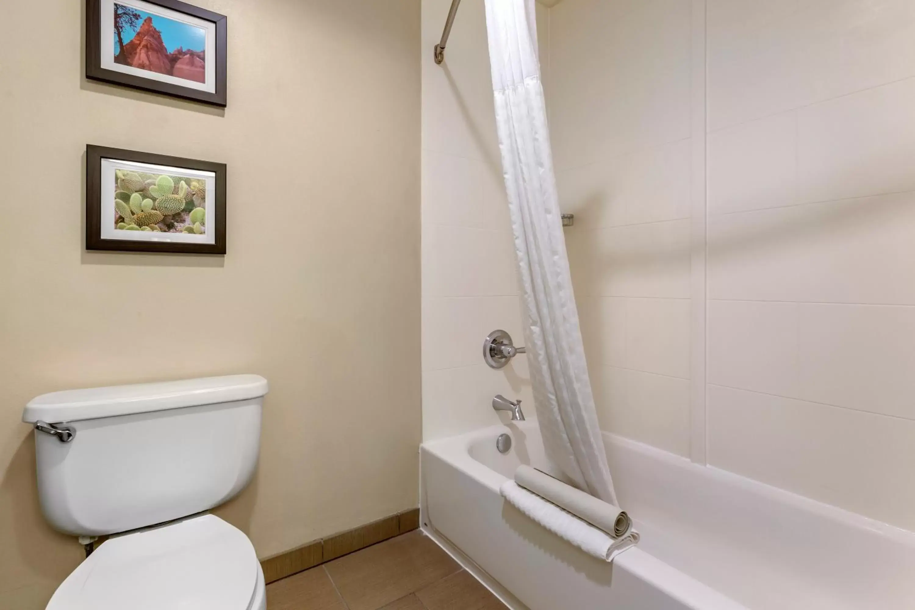 Toilet, Bathroom in Comfort Inn & Suites Los Alamos