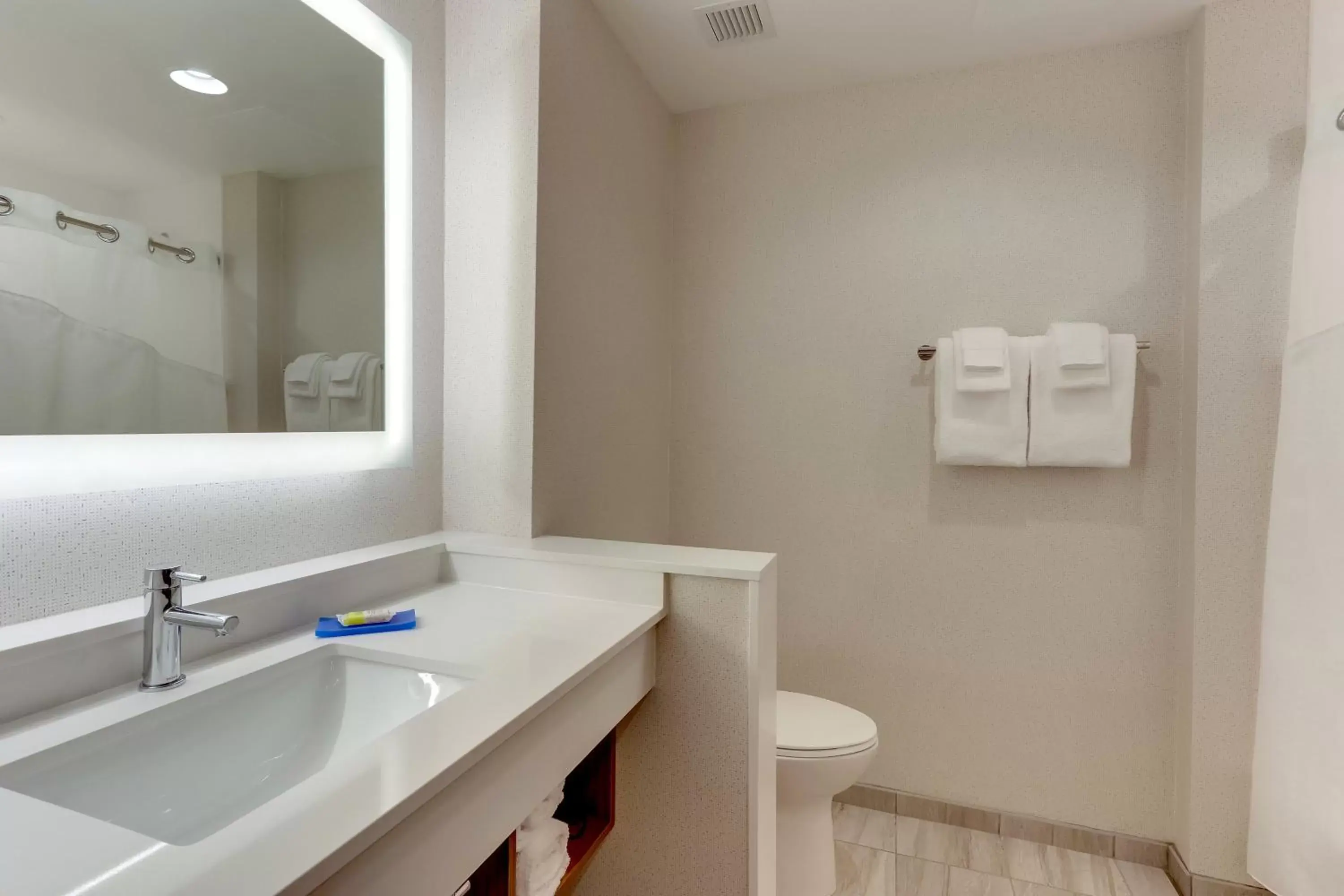 Bathroom in Holiday Inn Express - Wilmington - Porters Neck, an IHG Hotel