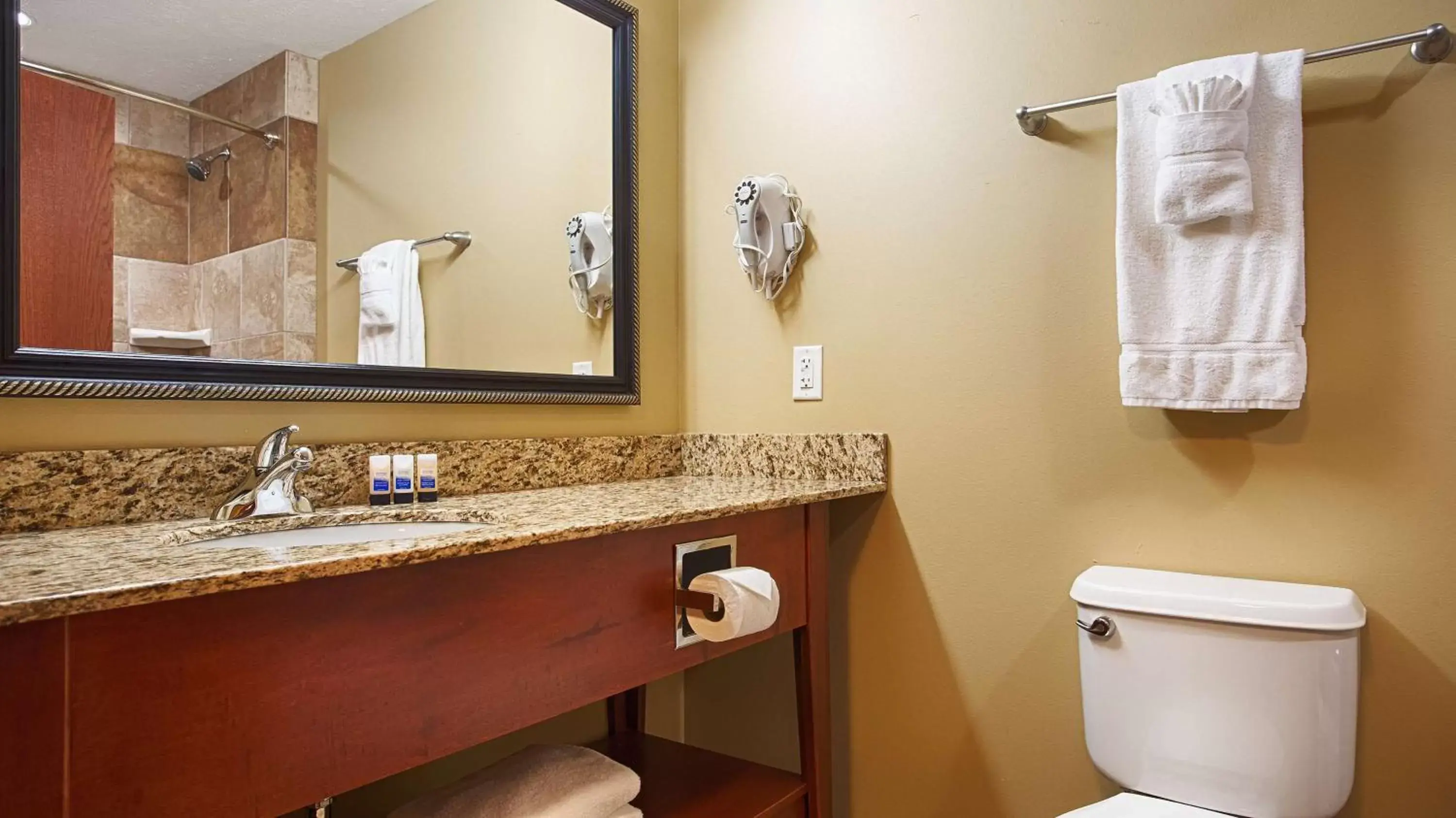 Bathroom in Best Western Plus Grand Island Inn and Suites