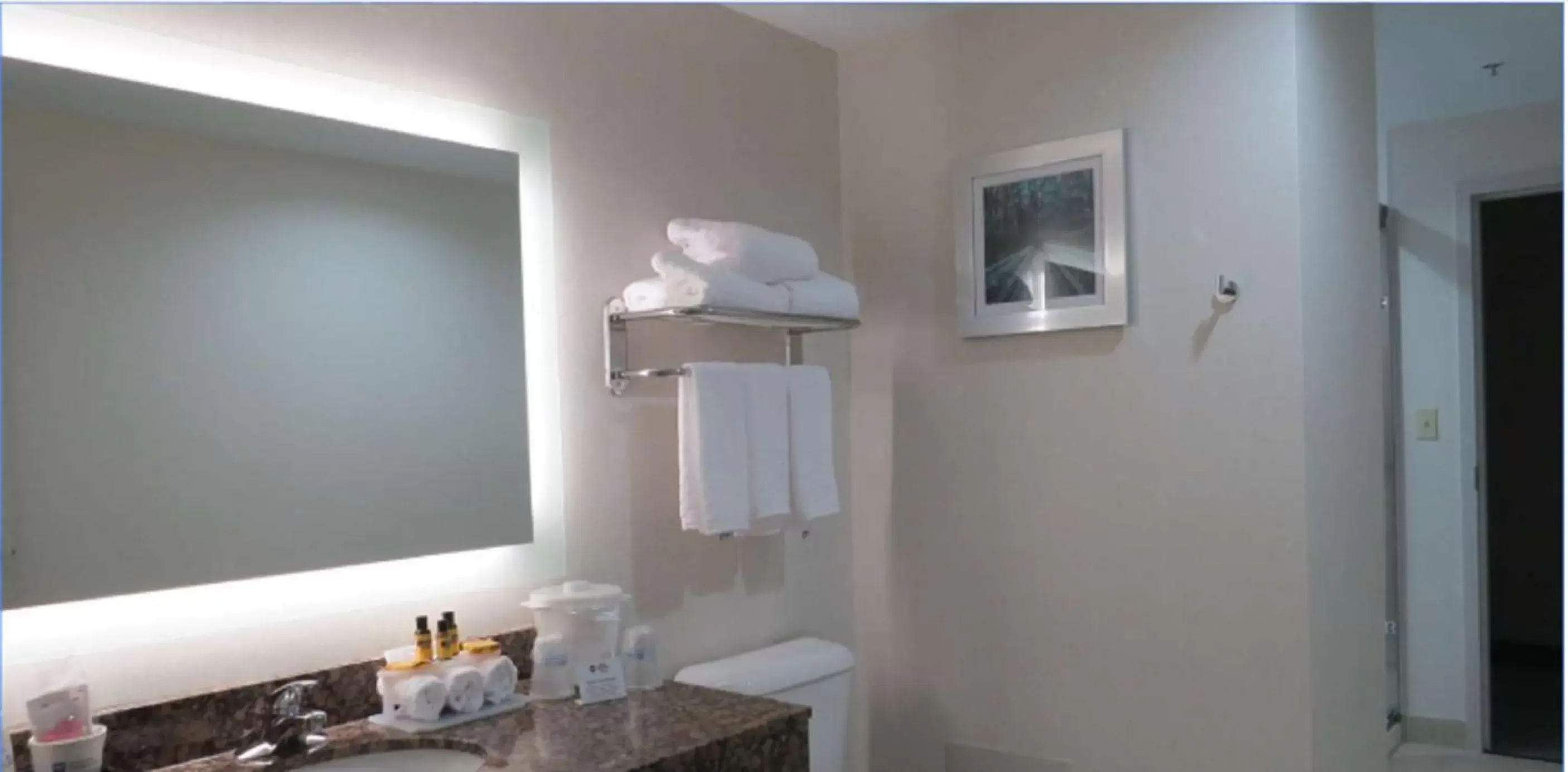 Bathroom in Best Western Plus Wilkes Barre-Scranton Airport Hotel