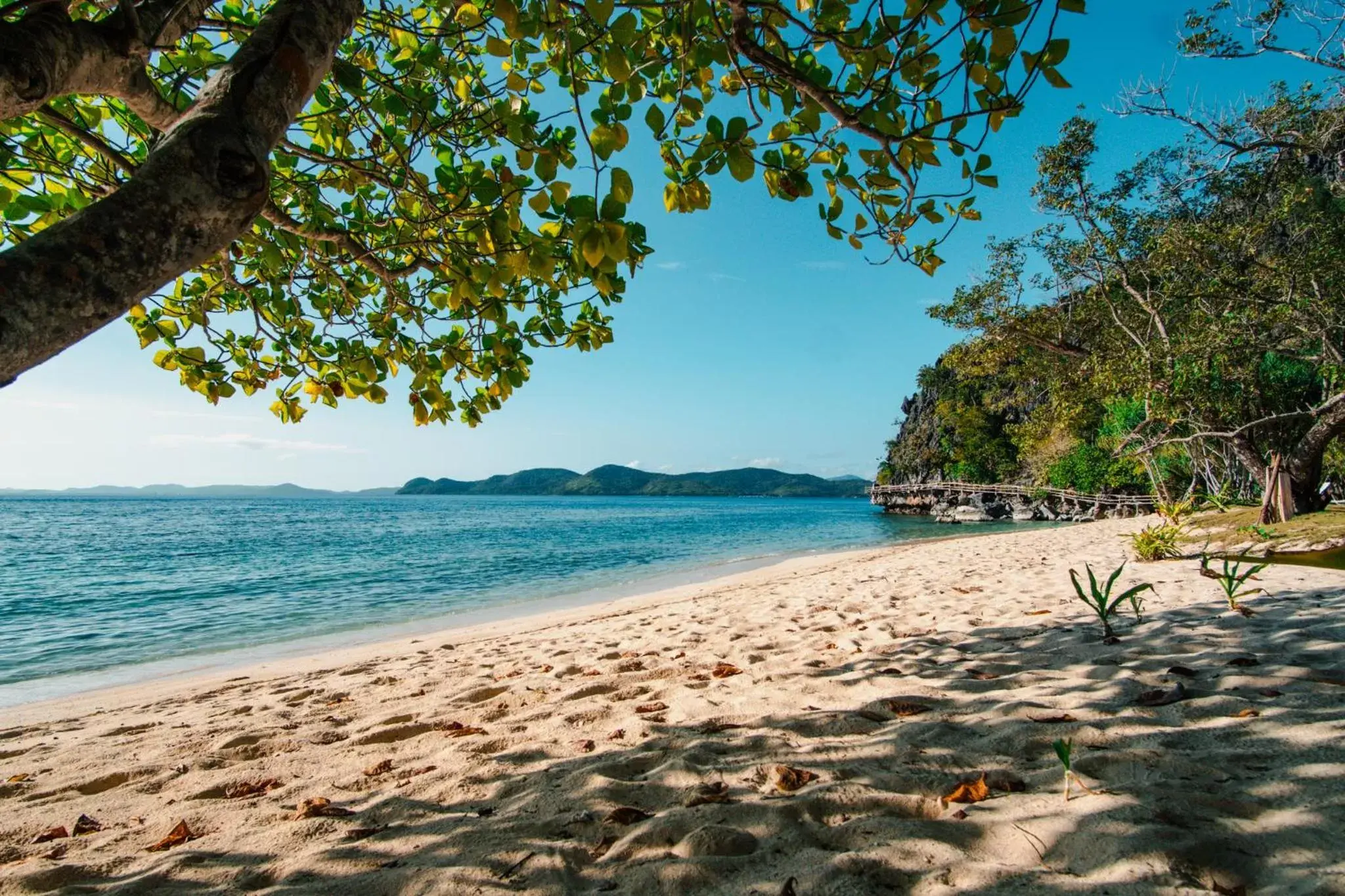 Beach in Sangat Island Dive Resort