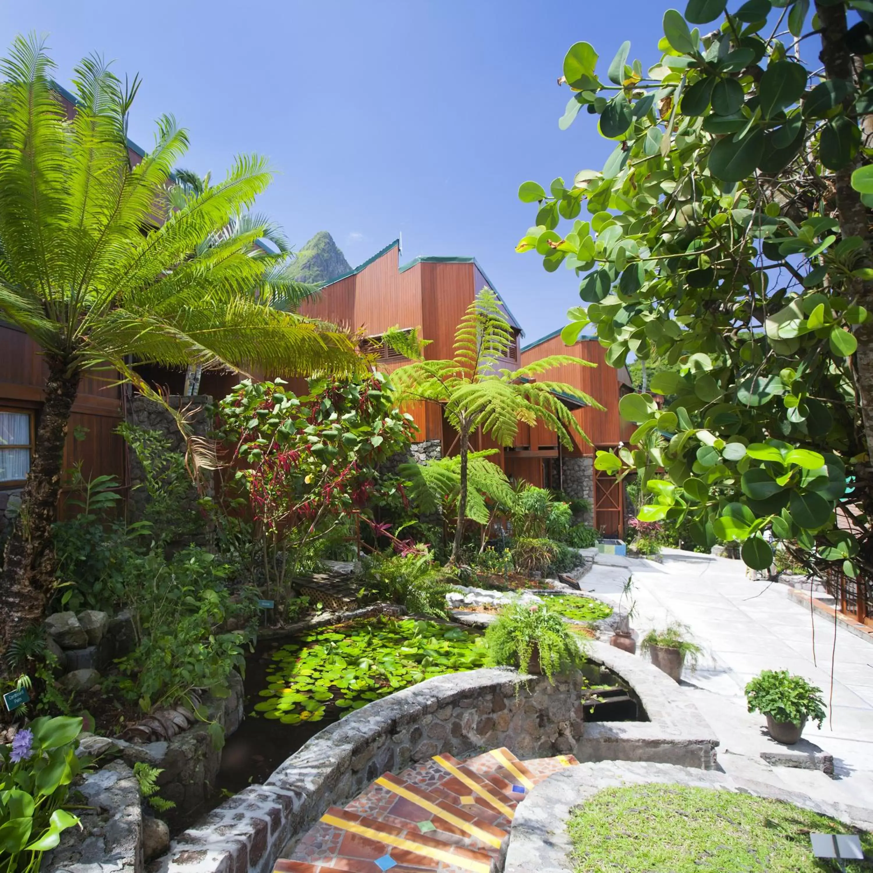 Natural landscape, Property Building in Ladera Resort