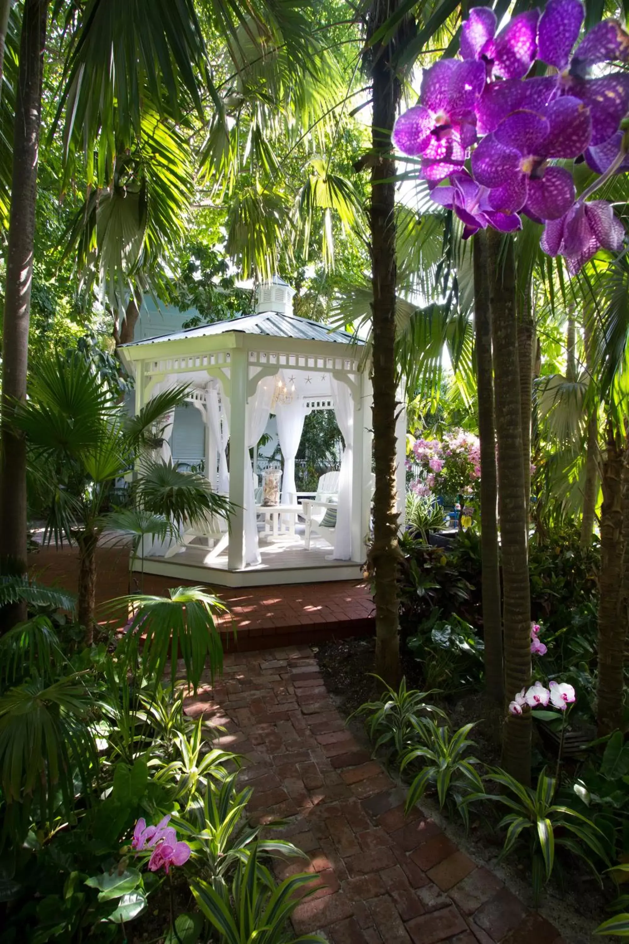 Garden, Property Building in The Gardens Hotel