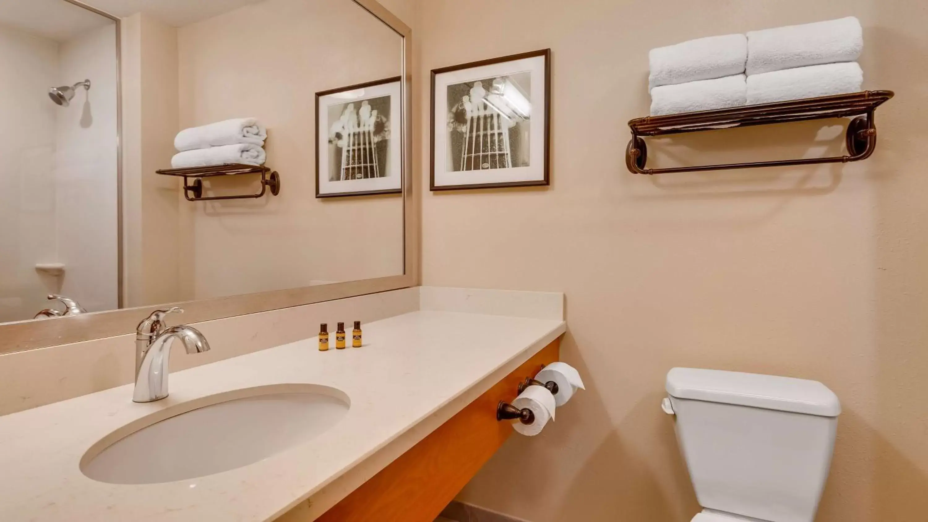 Bathroom in Best Western Plus Tuscumbia/Muscle Shoals Hotel & Suites